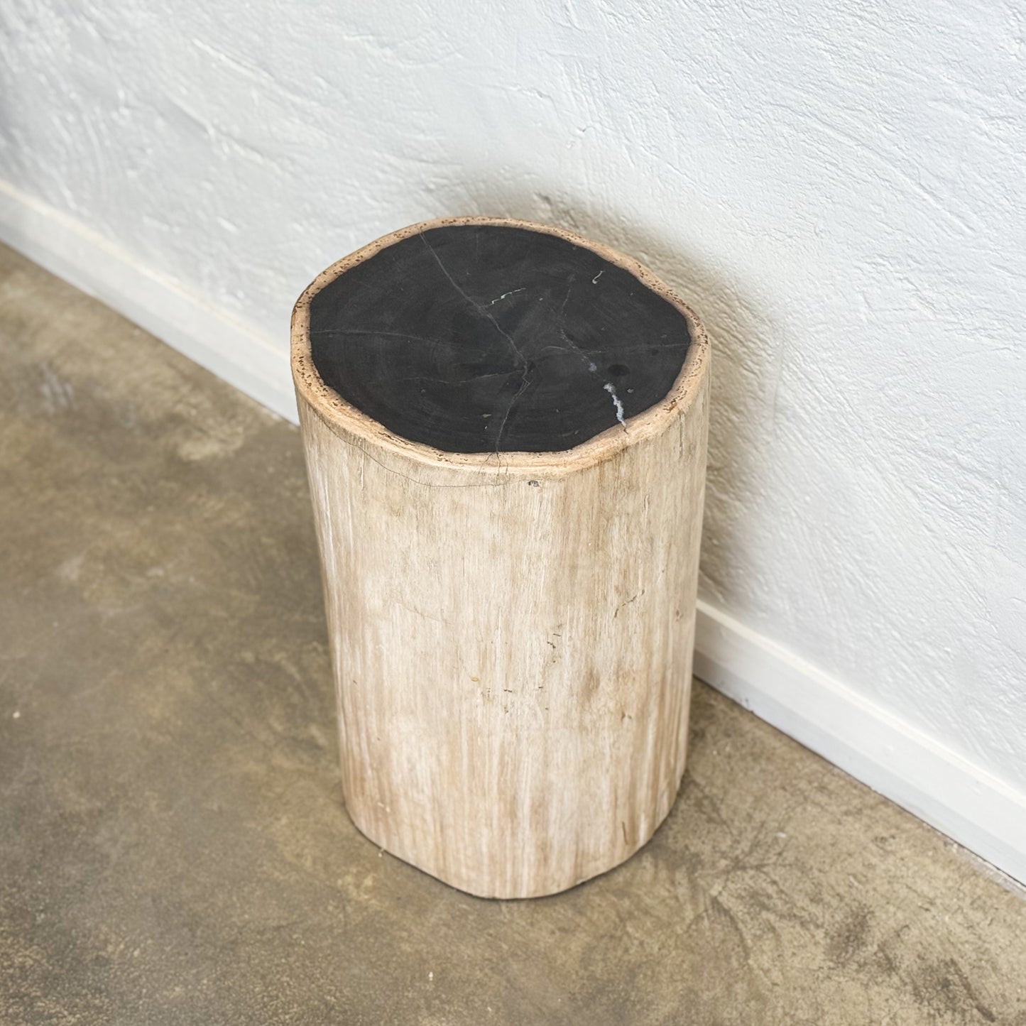 Petrified Wood Stool IV
