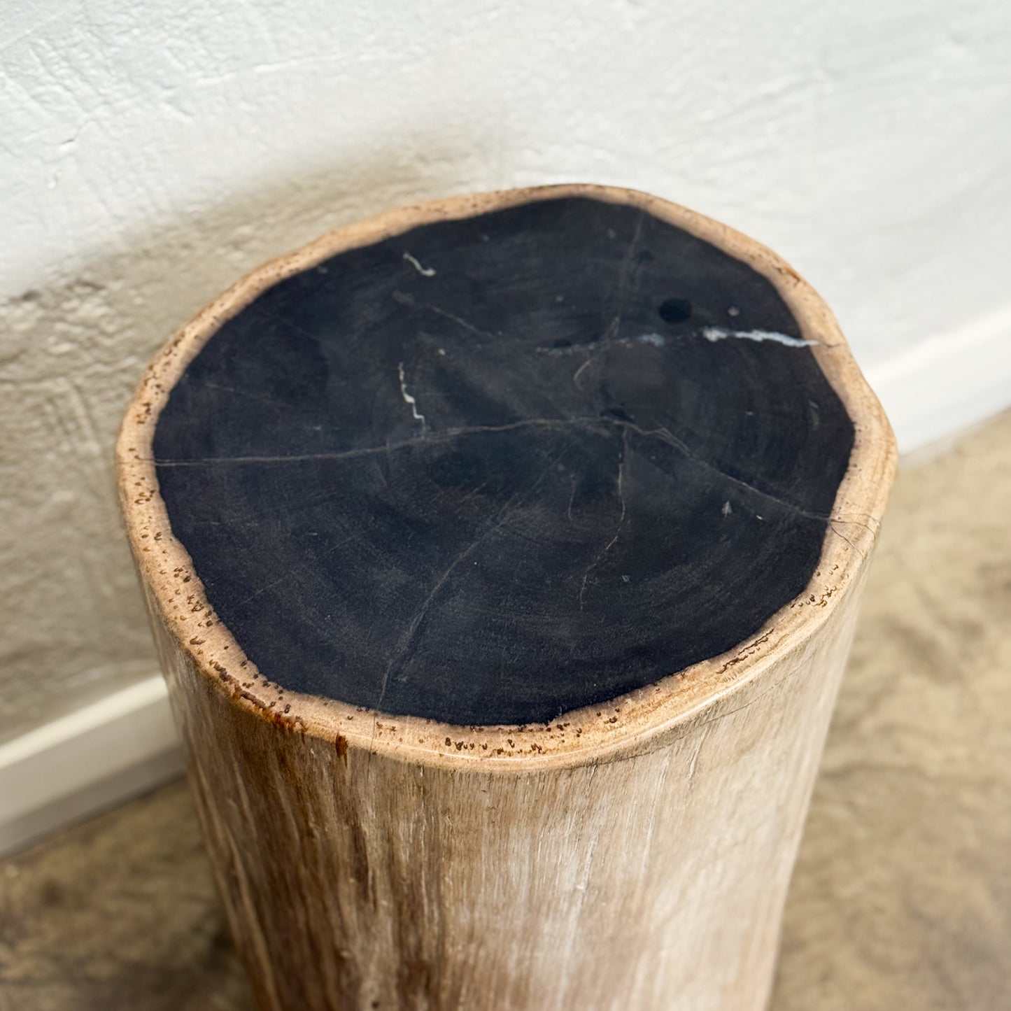 Petrified Wood Stool IV
