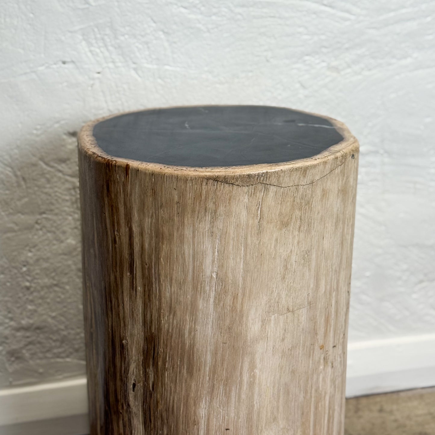 Petrified Wood Stool IV