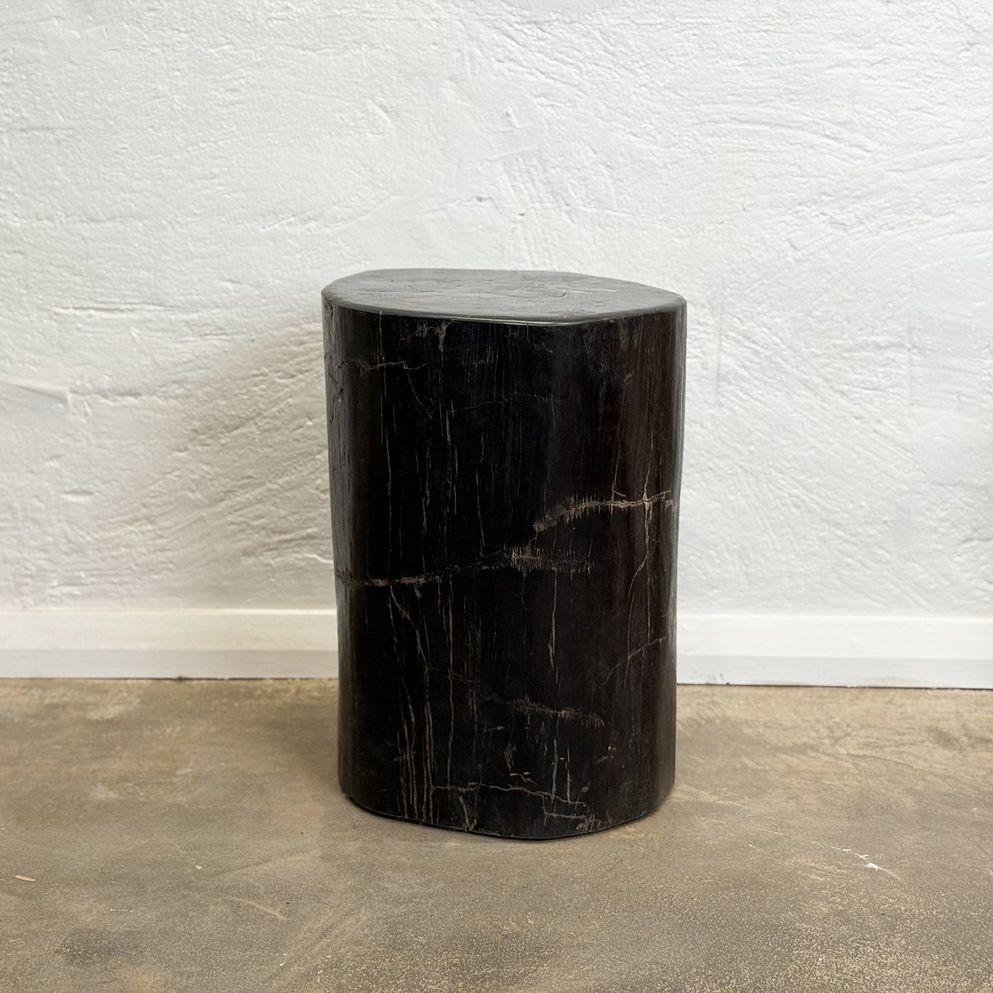 Petrified Wood Stool V