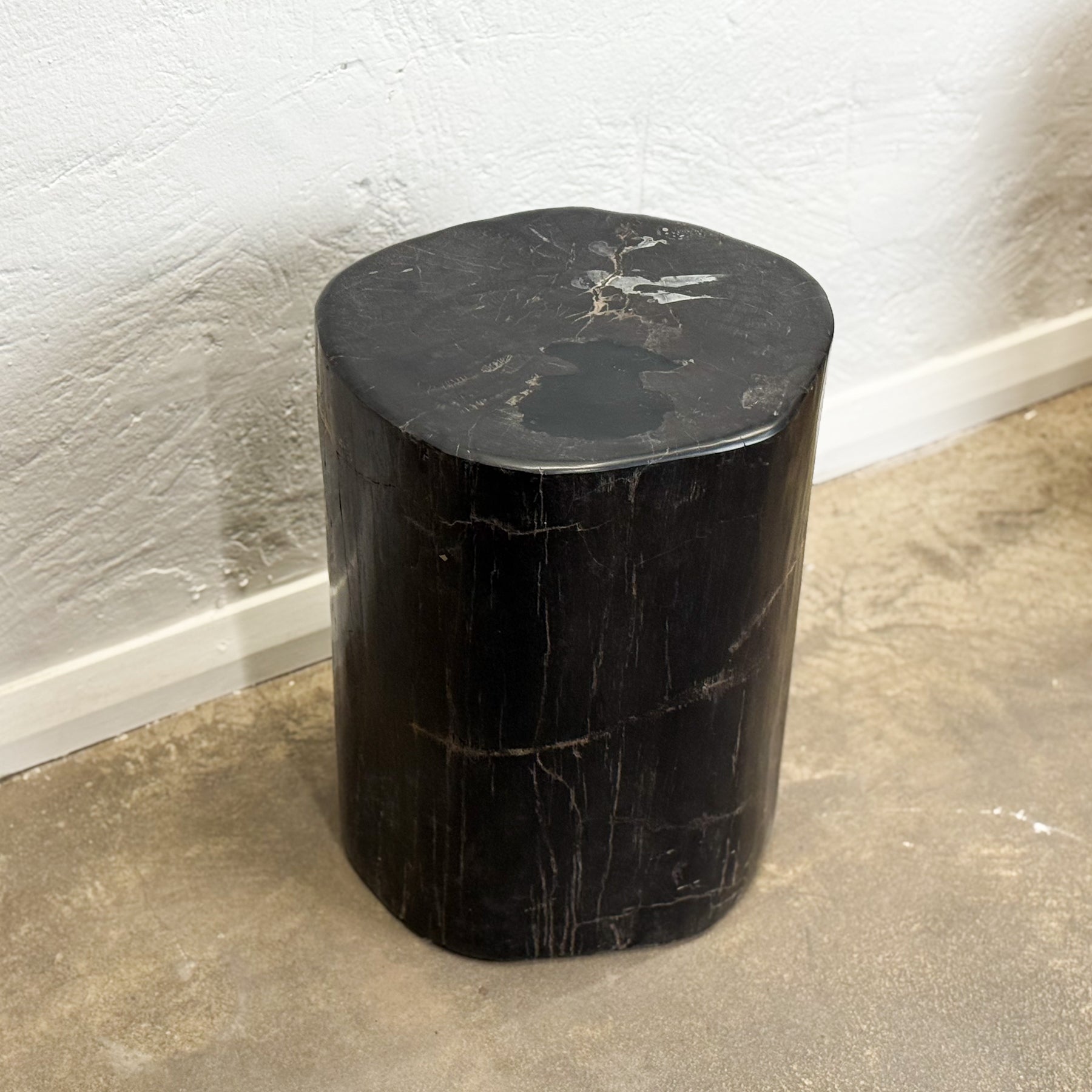 Petrified Wood Stool V