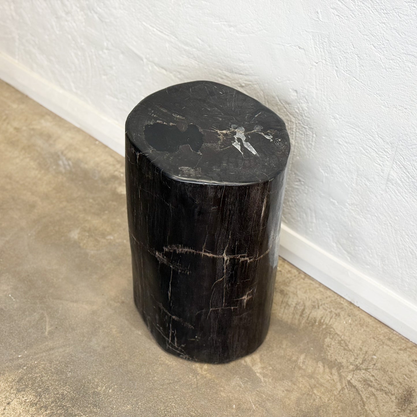 Petrified Wood Stool V