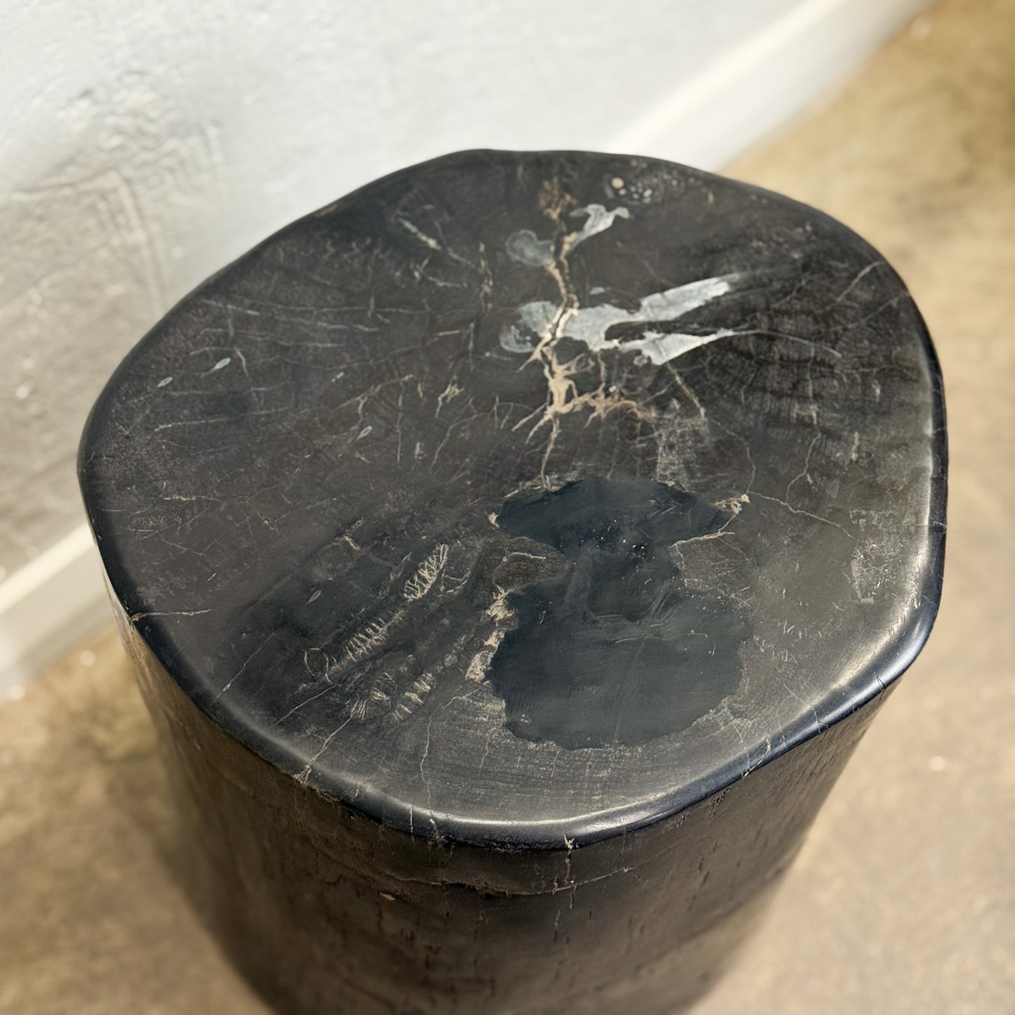Petrified Wood Stool V