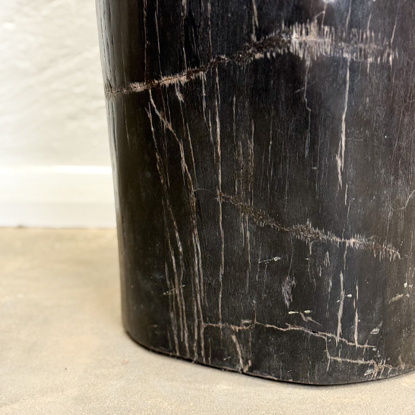 Petrified Wood Stool V
