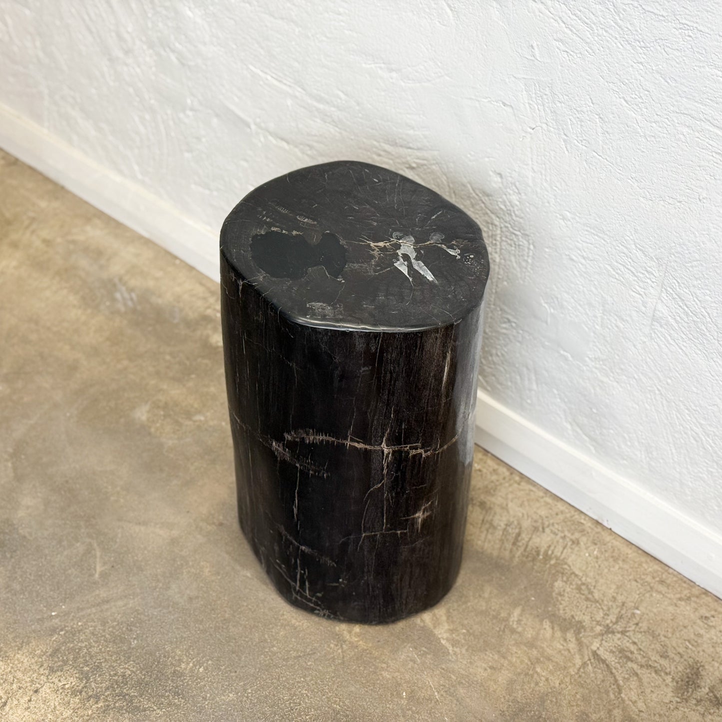 Petrified Wood Stool V