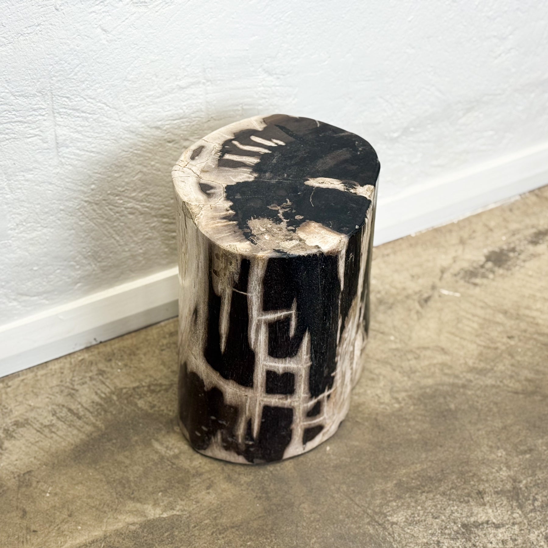 Petrified Wood Stool VI