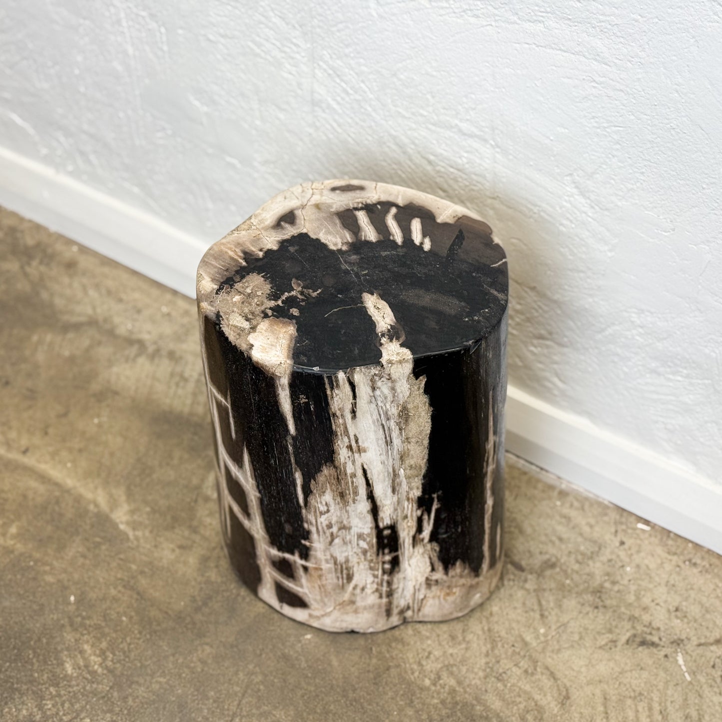 Petrified Wood Stool VI