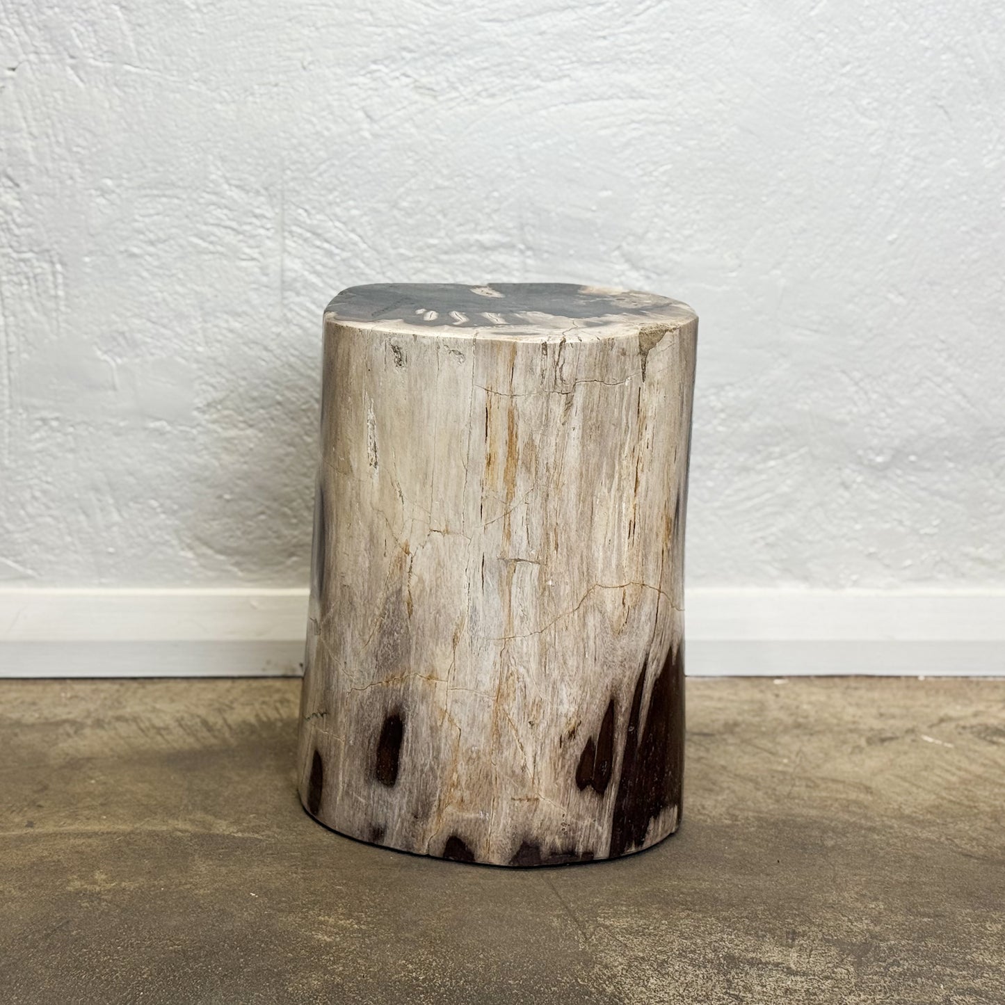 Petrified Wood Stool VI