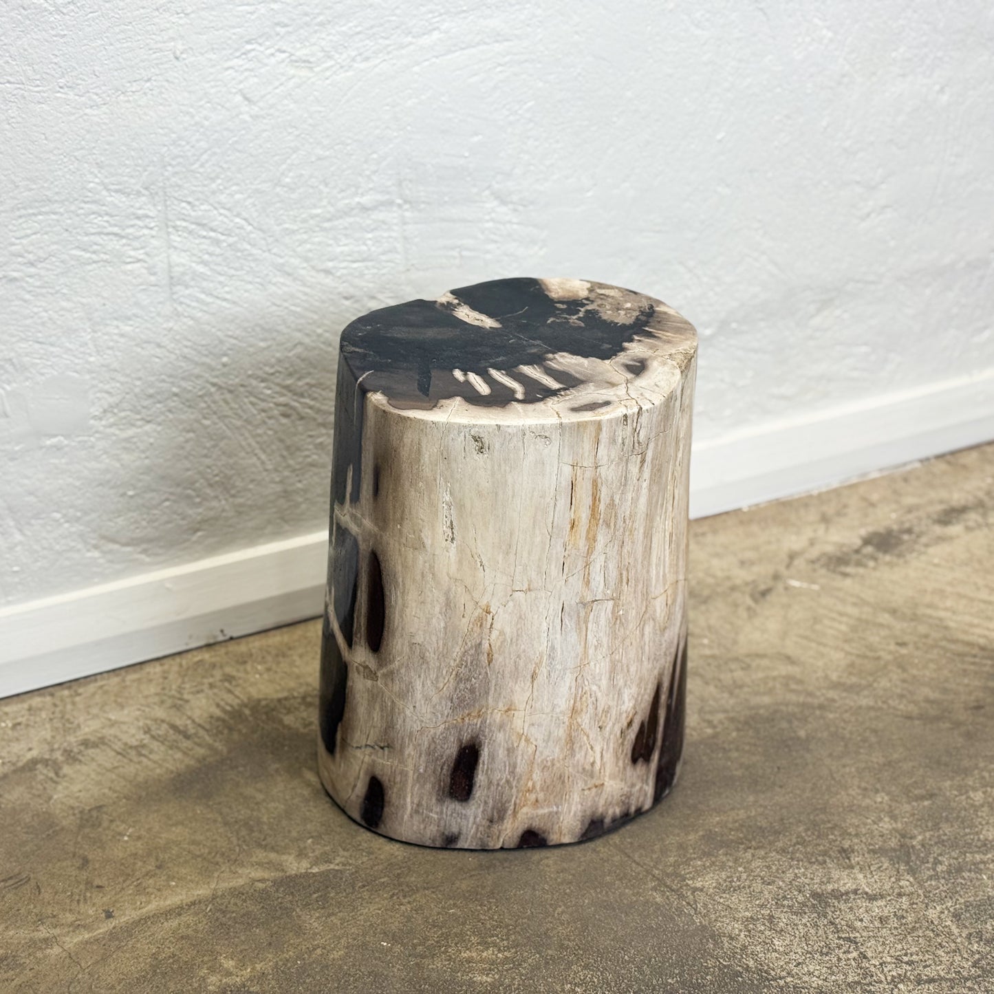 Petrified Wood Stool VI