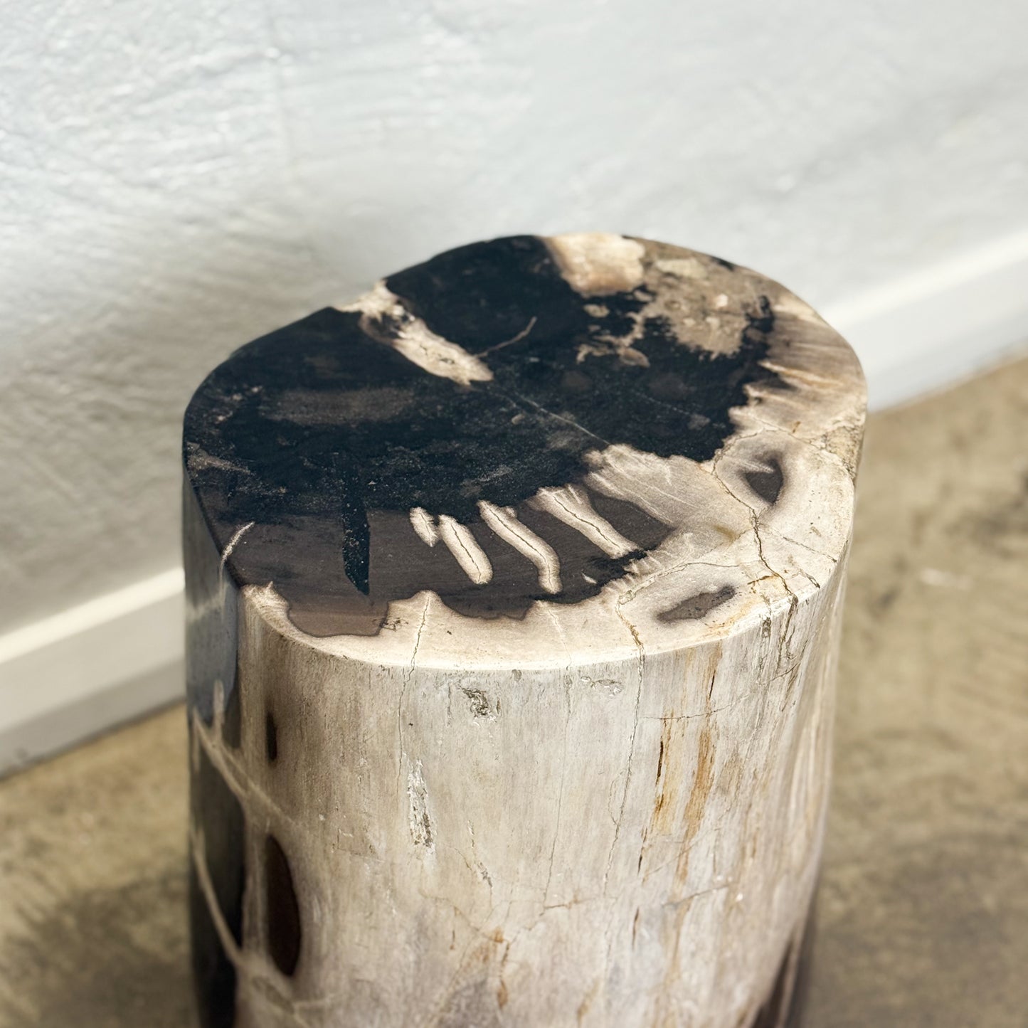Petrified Wood Stool VI