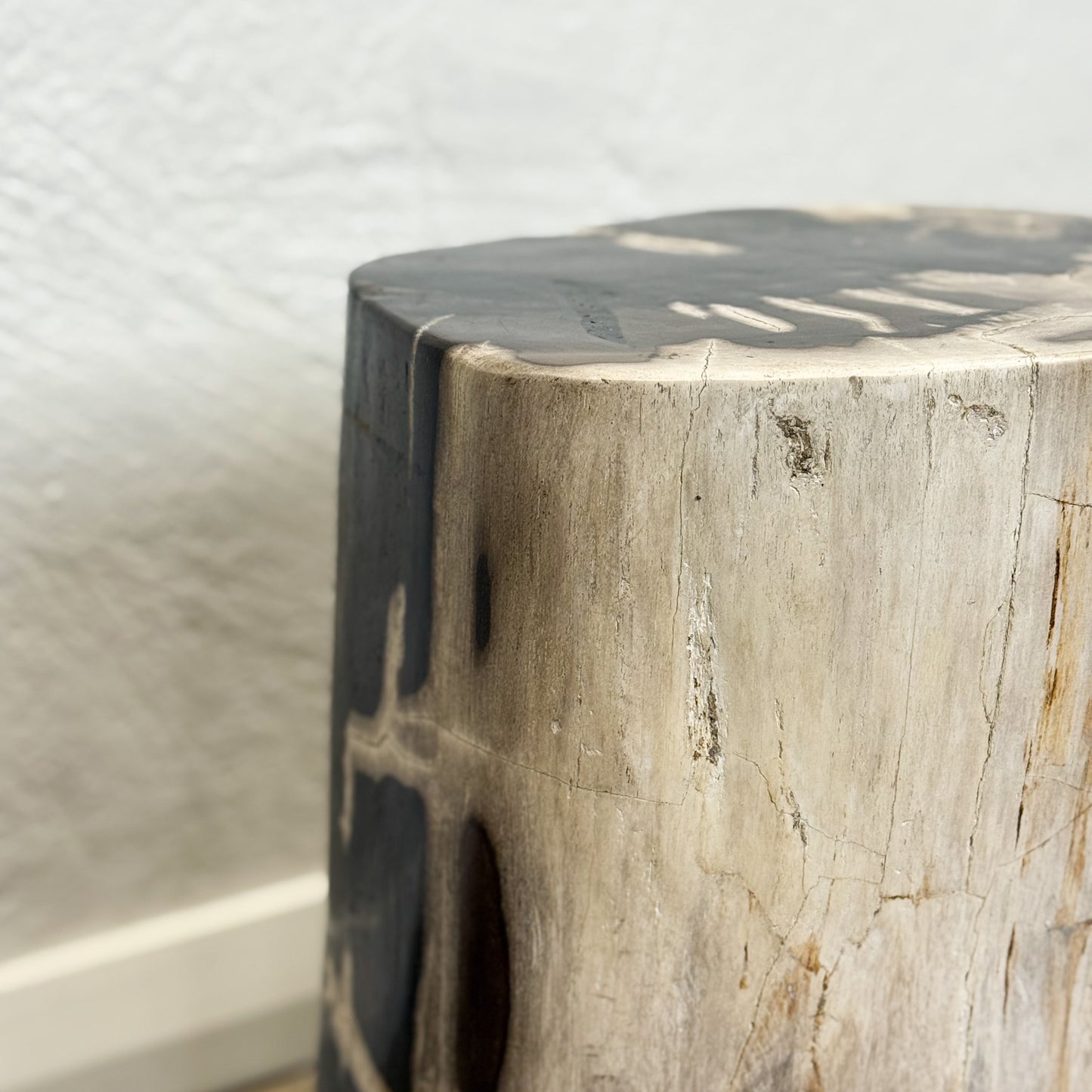 Petrified Wood Stool VI