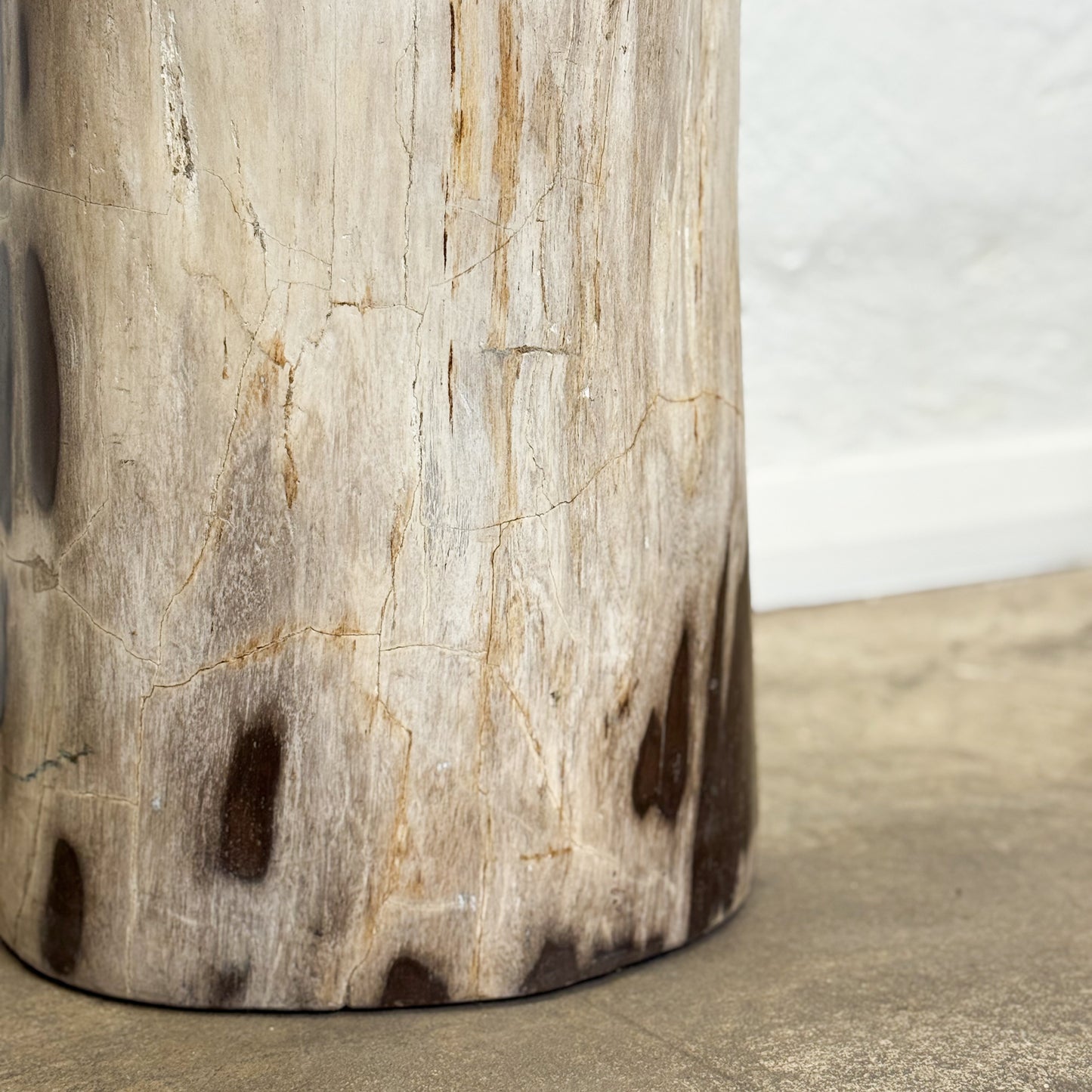 Petrified Wood Stool VI