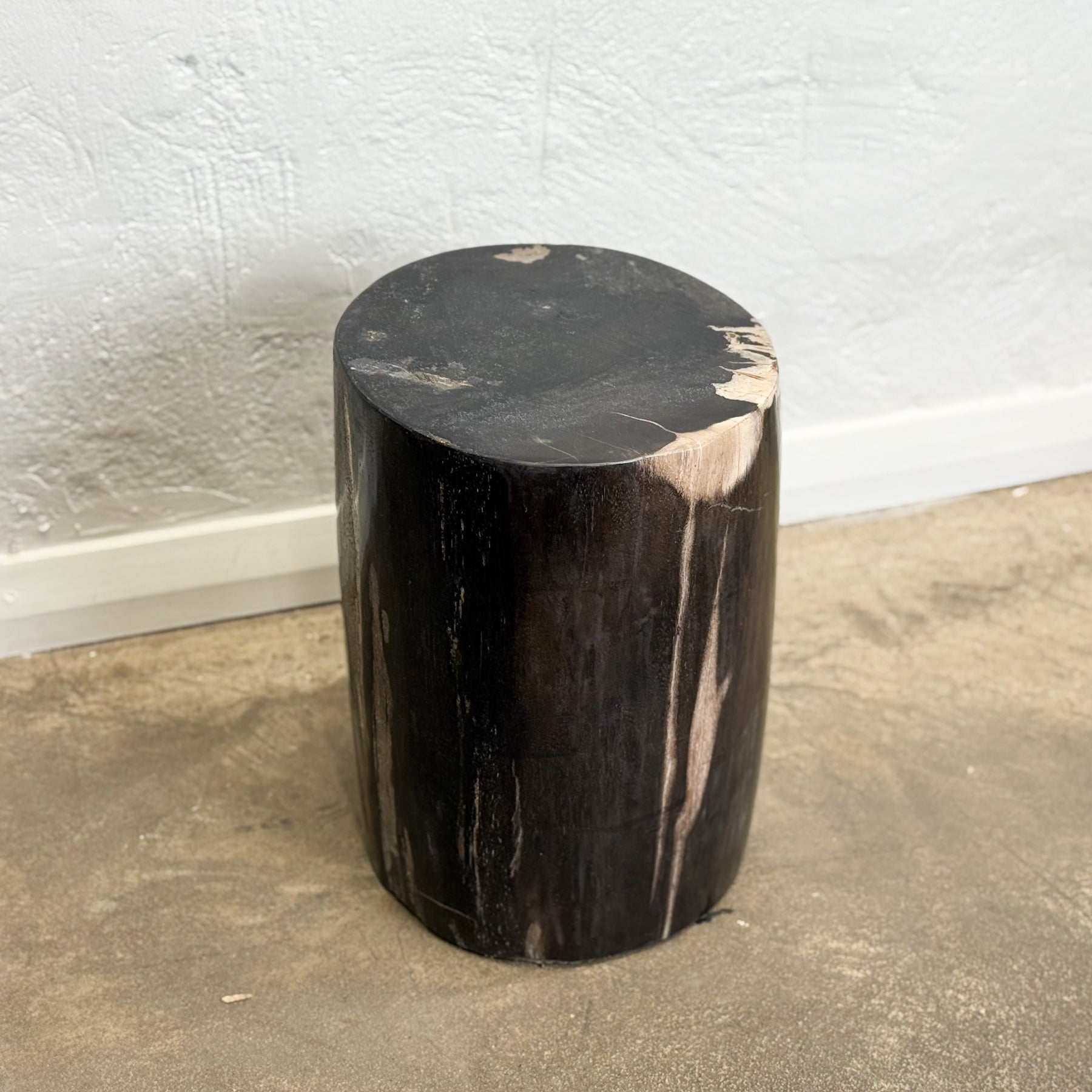 Petrified Wood Stool VII