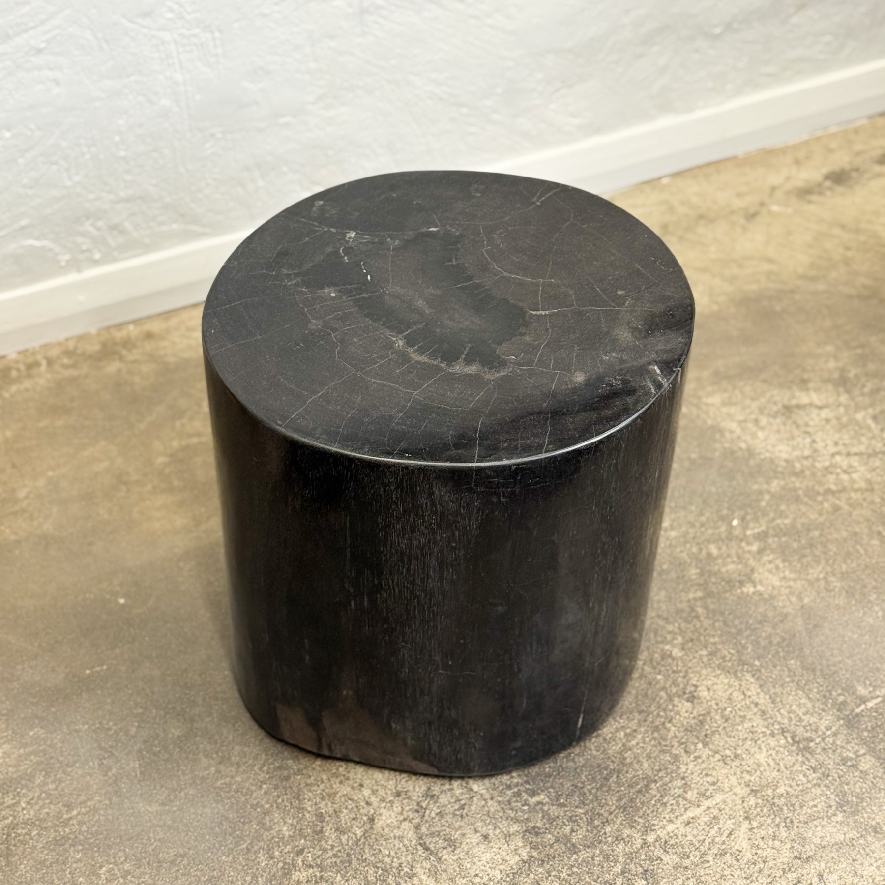 Petrified Wood Stool VIII