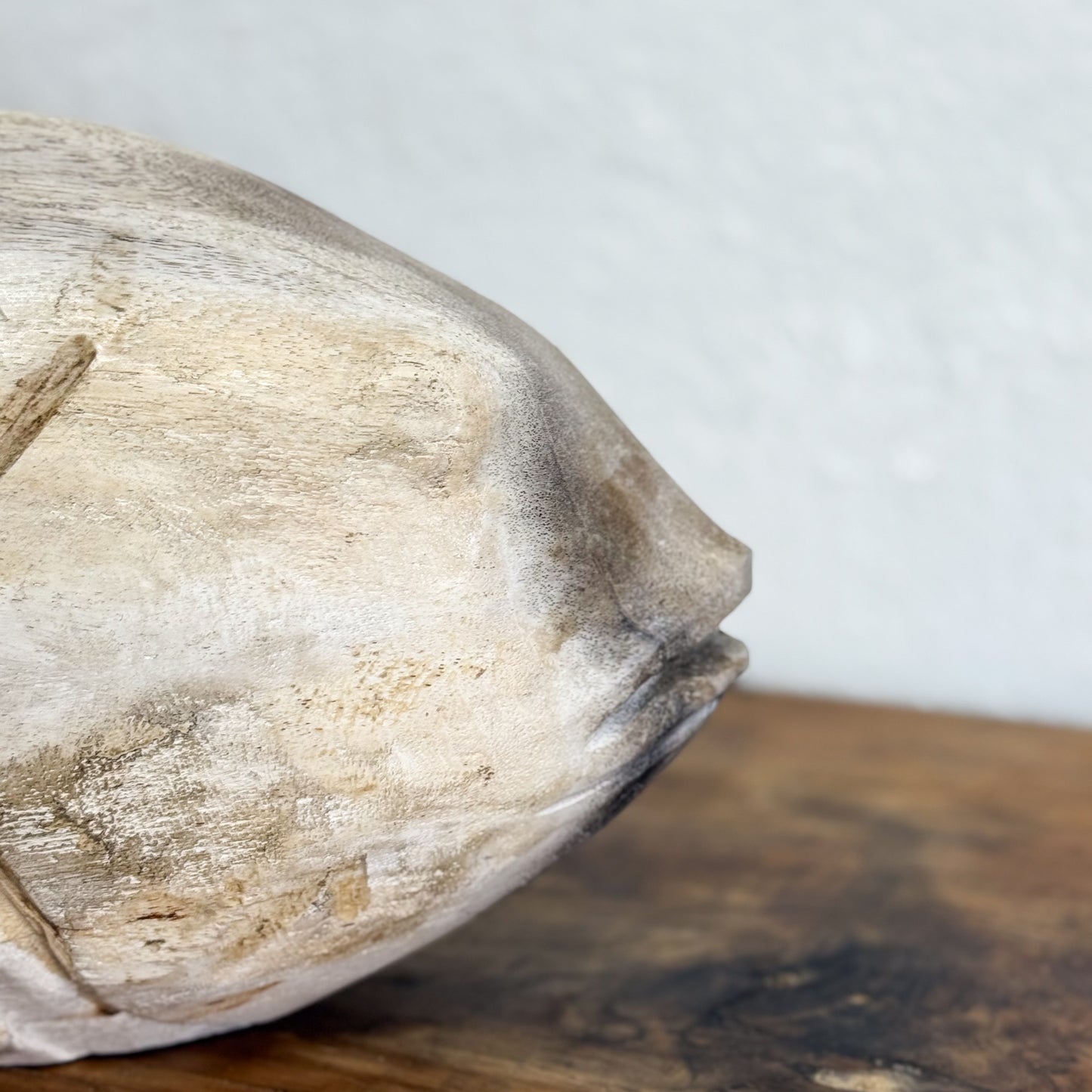 Petrified Wood Fish I