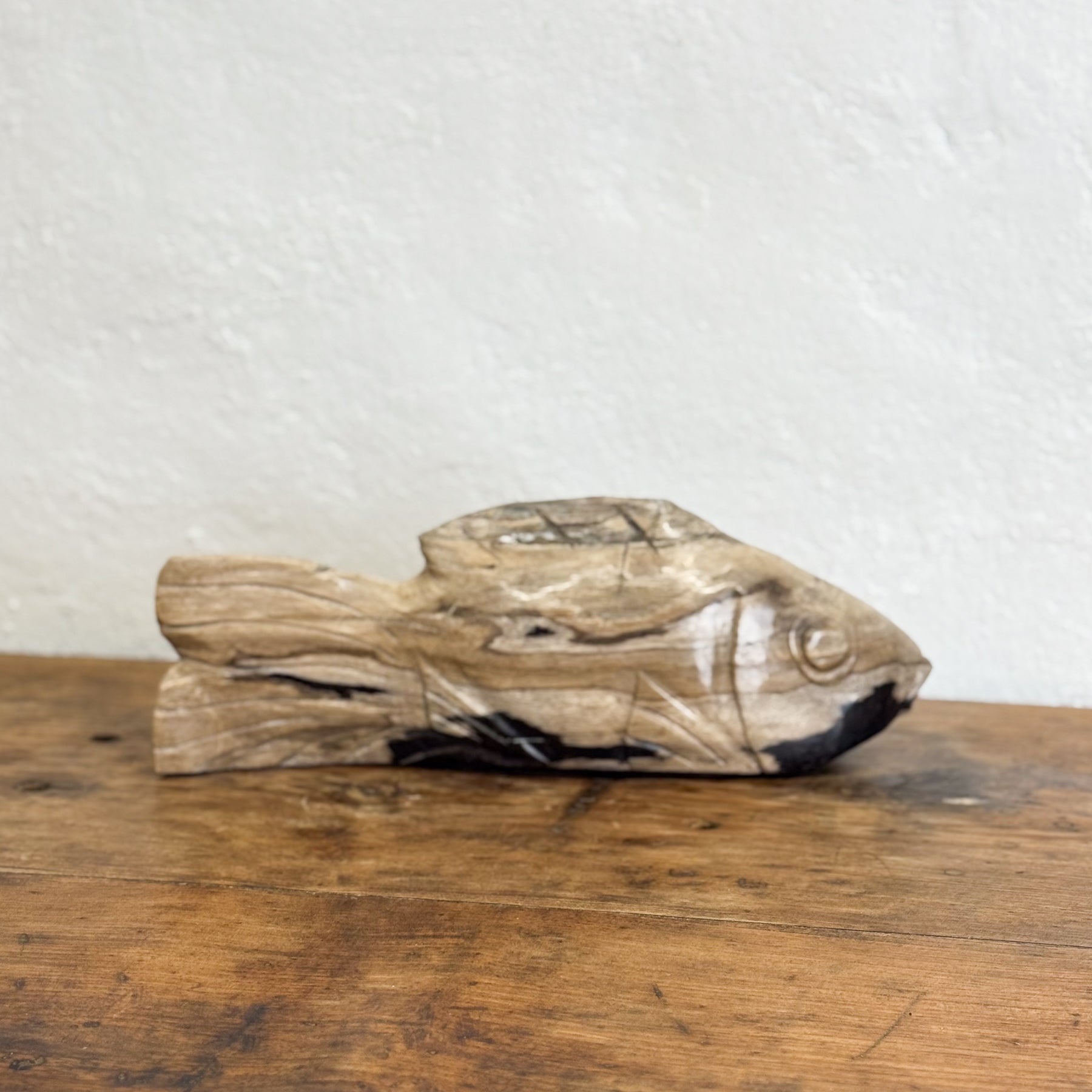 Petrified Wood Fish II