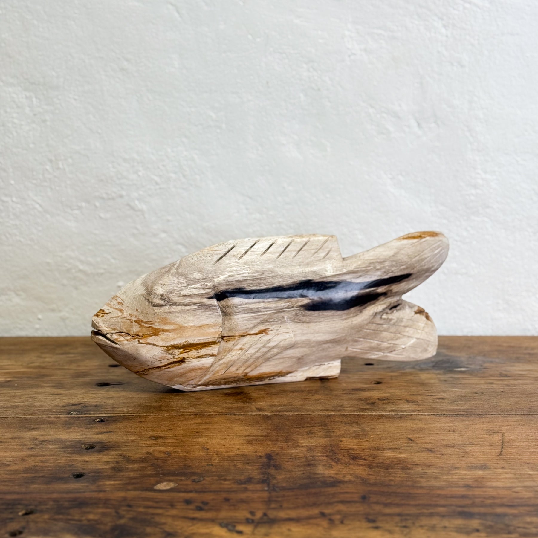 Petrified Wood Fish III