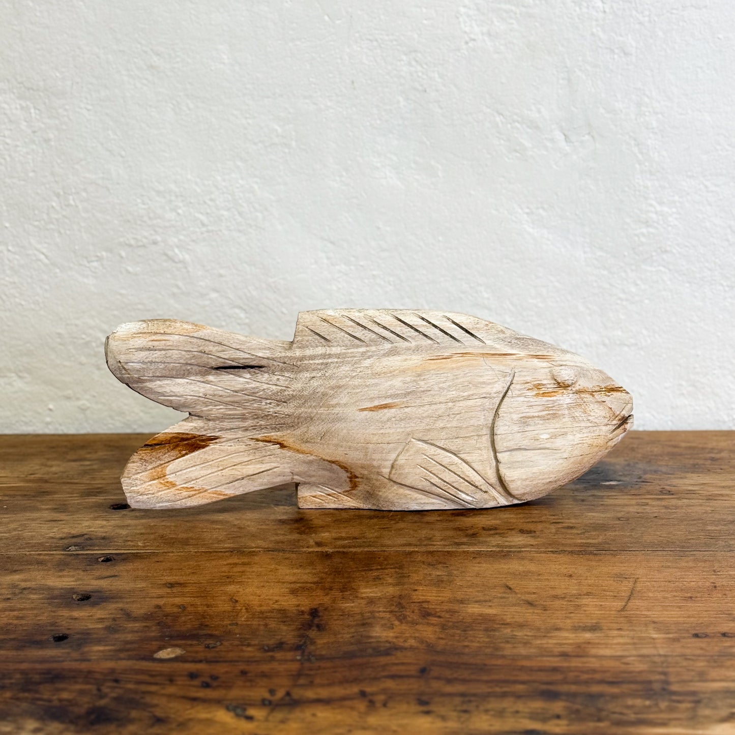 Petrified Wood Fish III