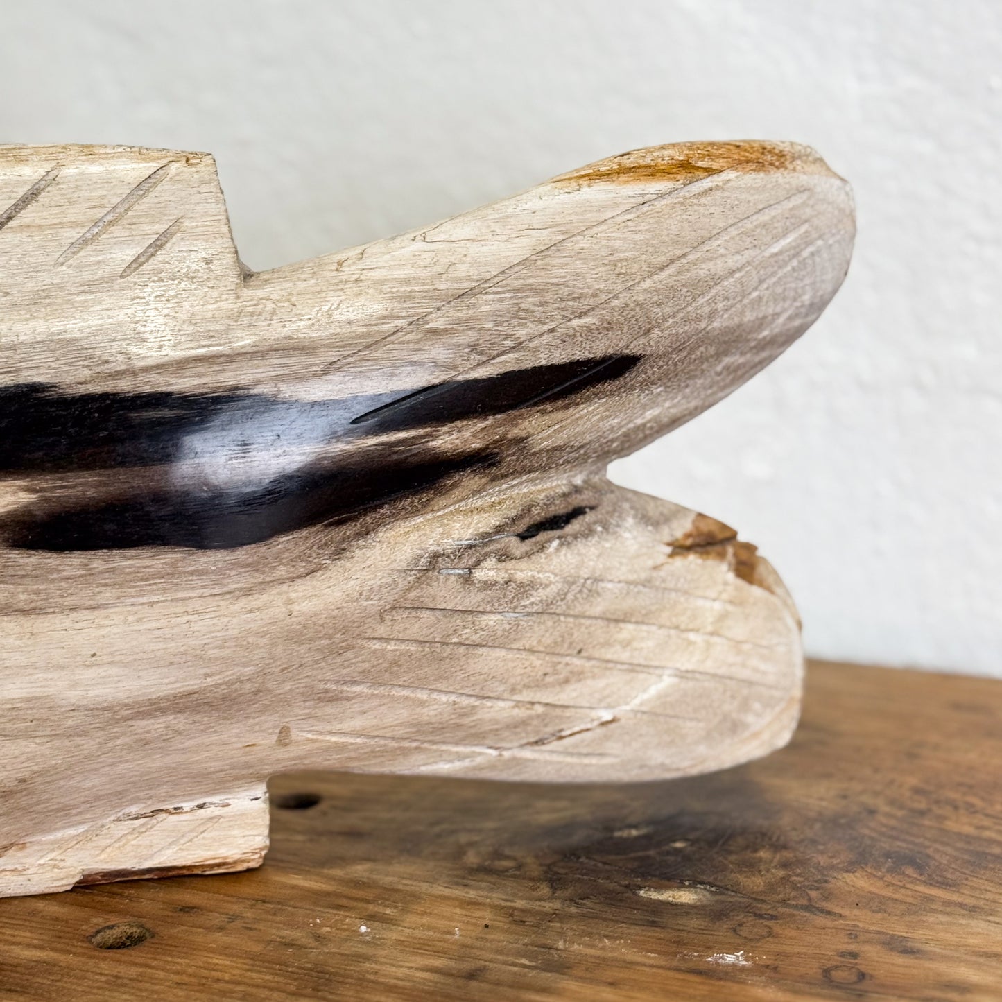 Petrified Wood Fish III