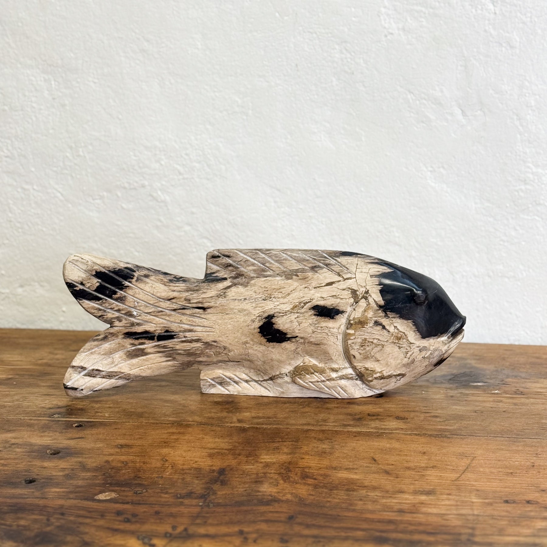 Petrified Wood Fish IV