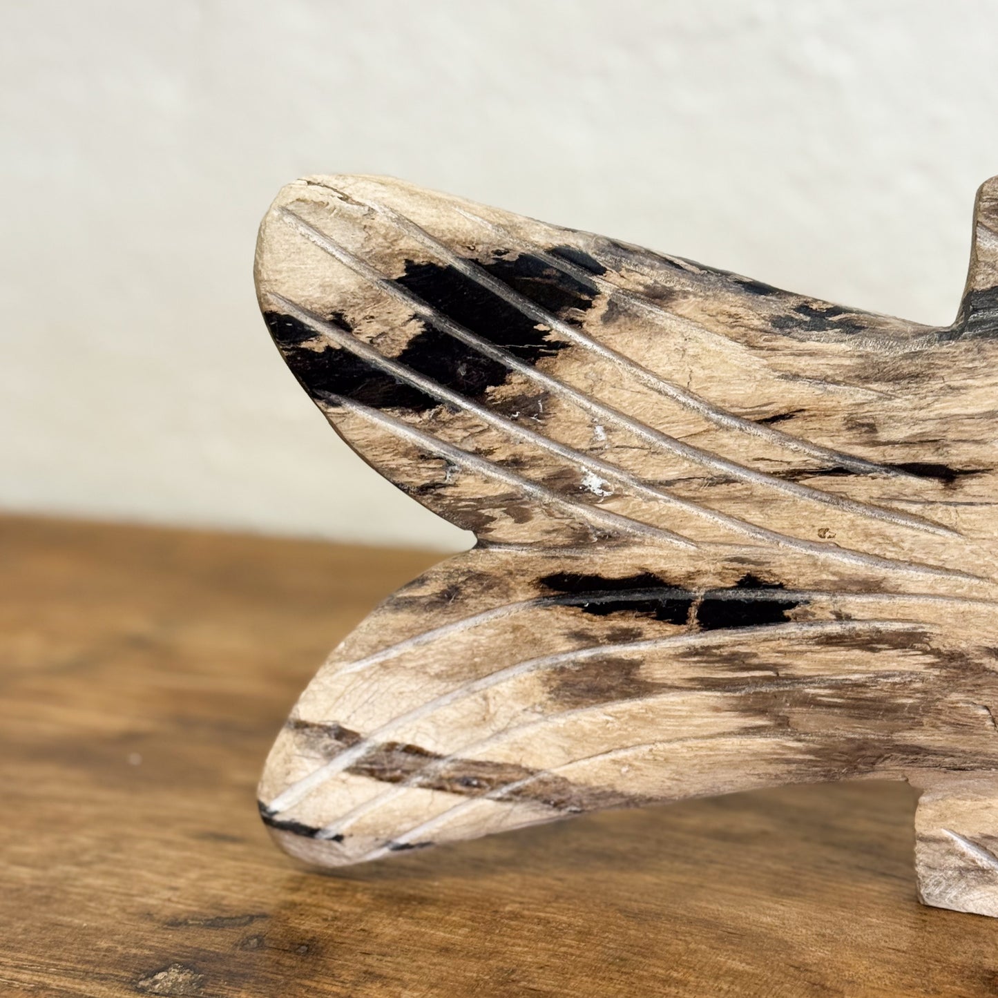 Petrified Wood Fish IV