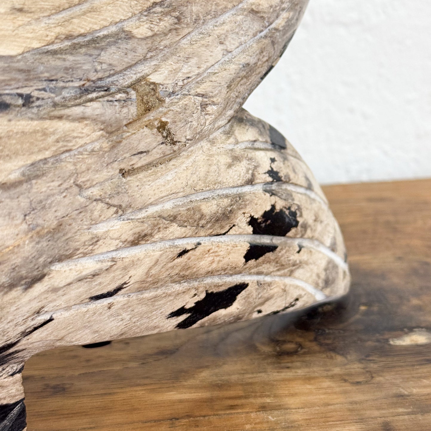 Petrified Wood Fish IV