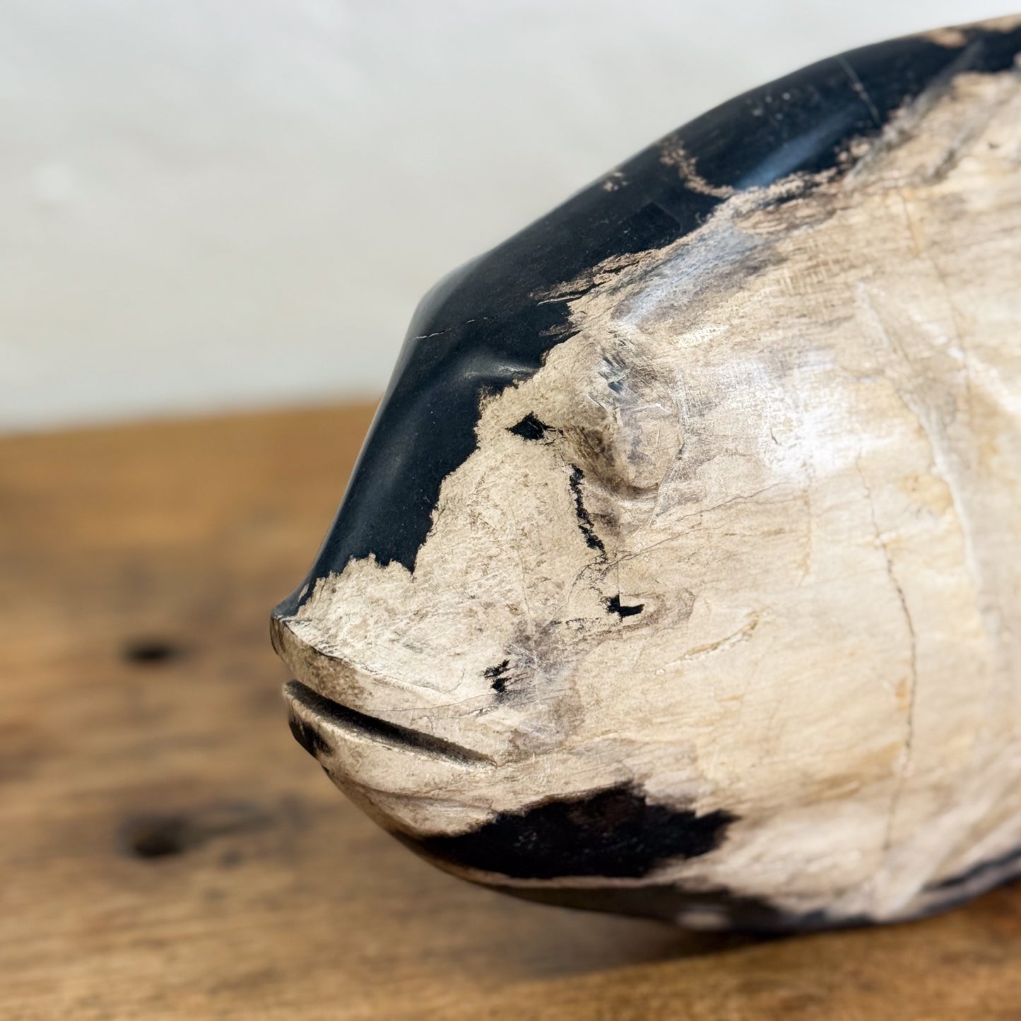 Petrified Wood Fish IV