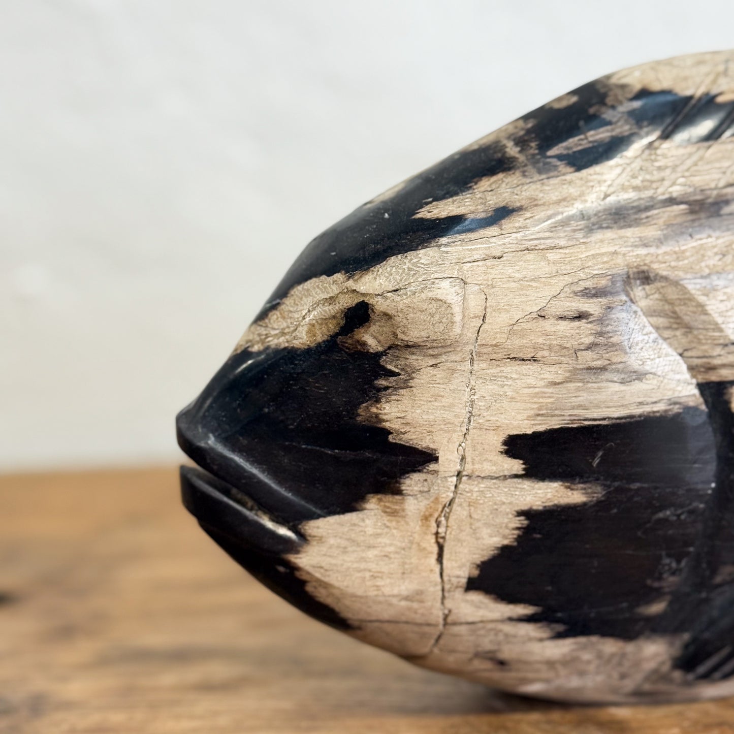 Petrified Wood Fish V