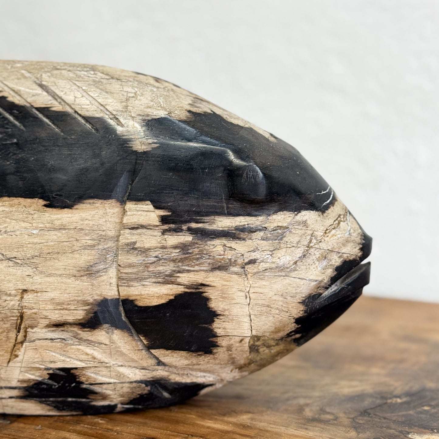 Petrified Wood Fish V