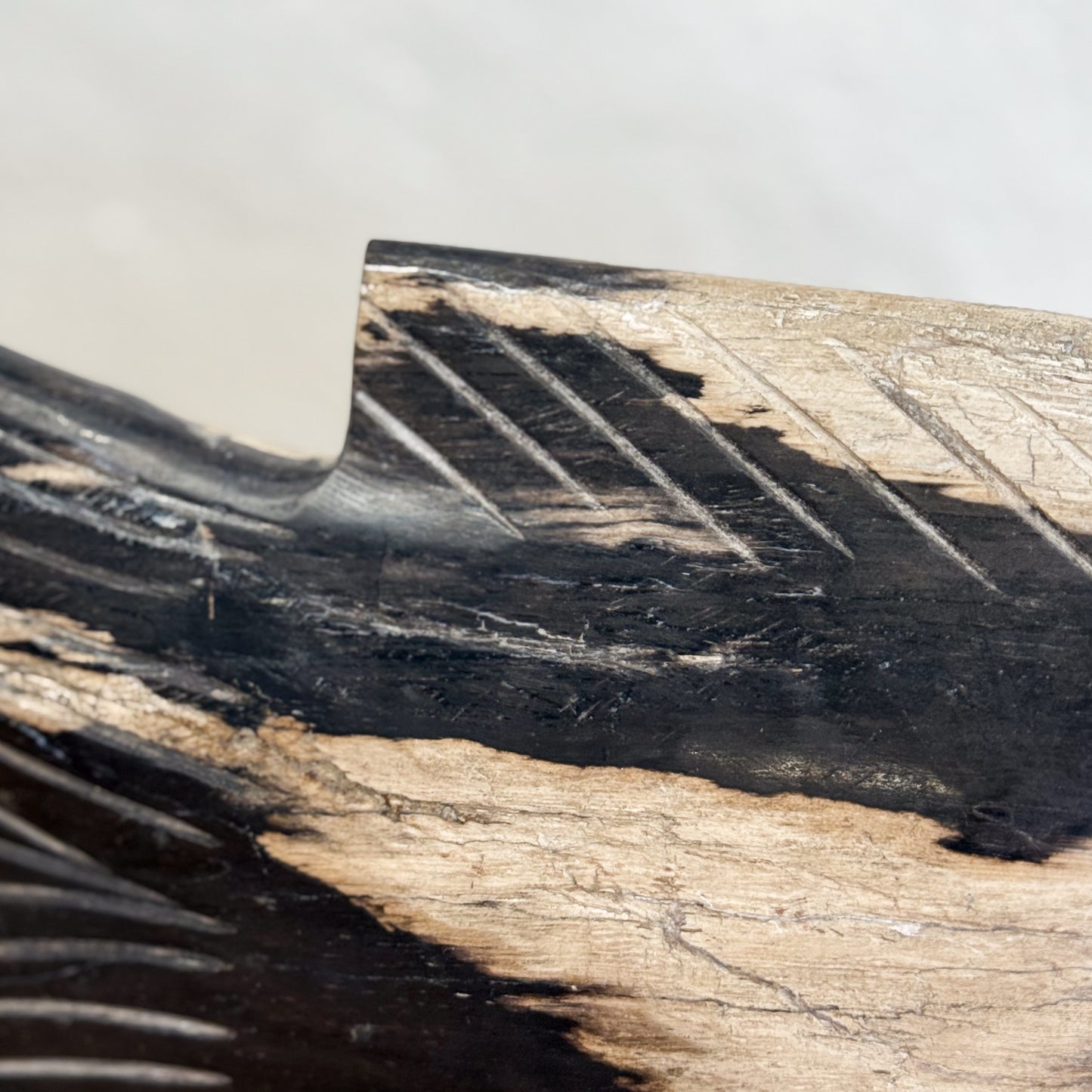 Petrified Wood Fish V