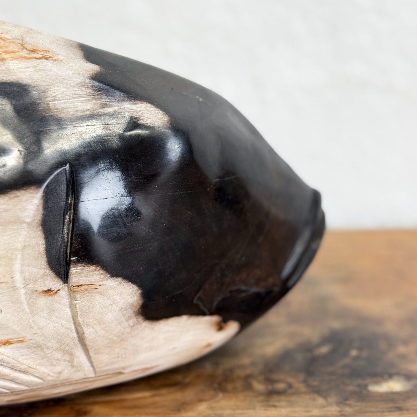 Petrified Wood Fish VI