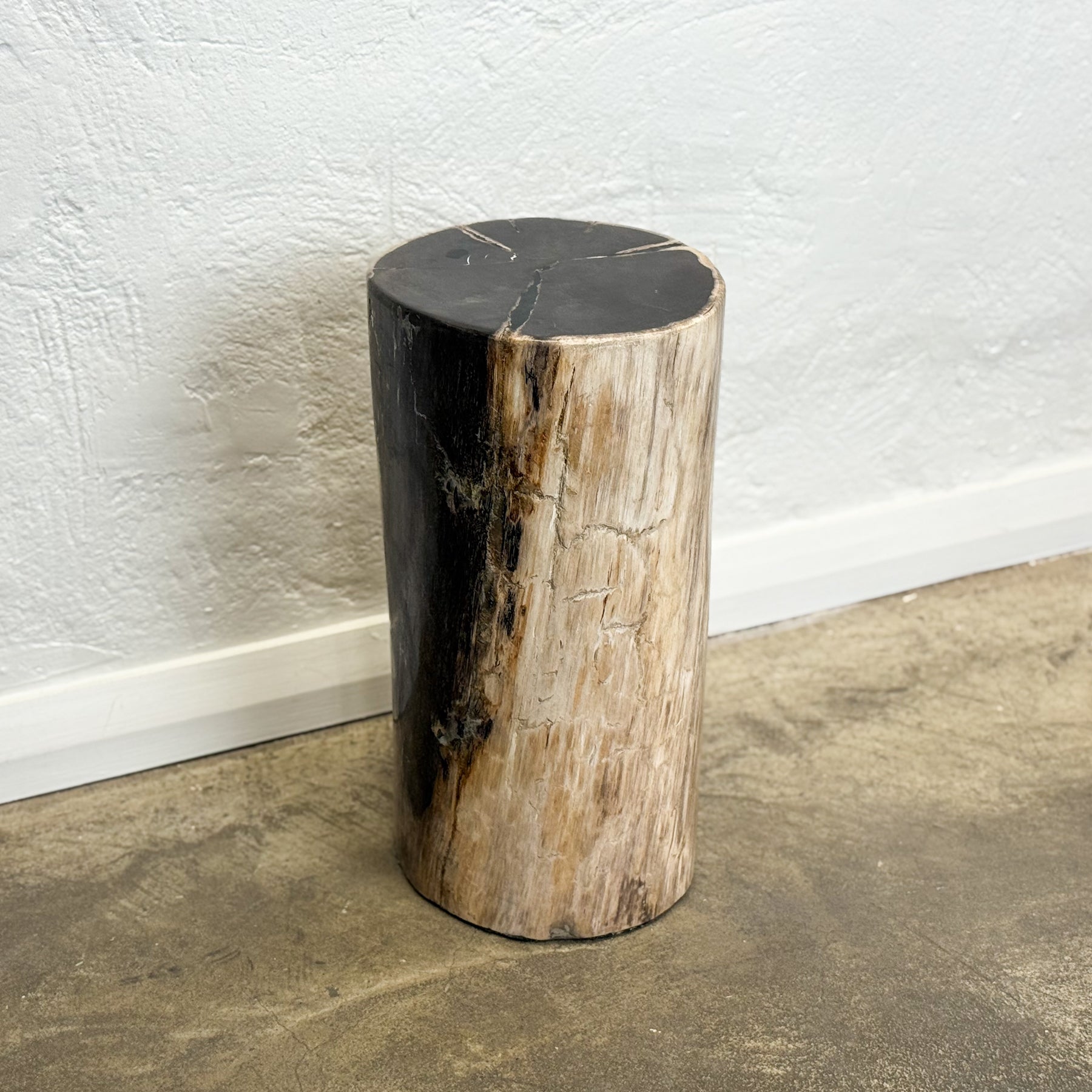 Petrified Wood Stool IX
