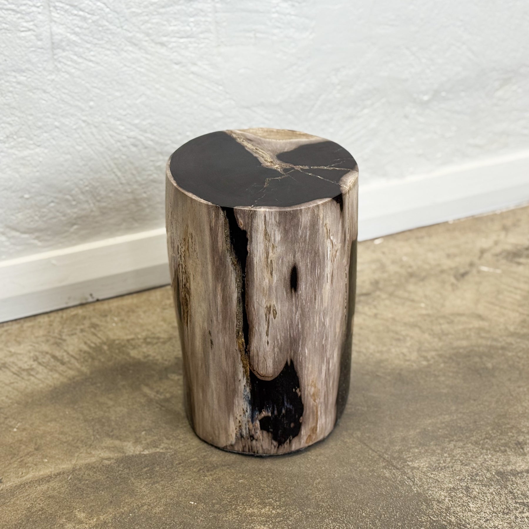 Petrified Wood Stool X