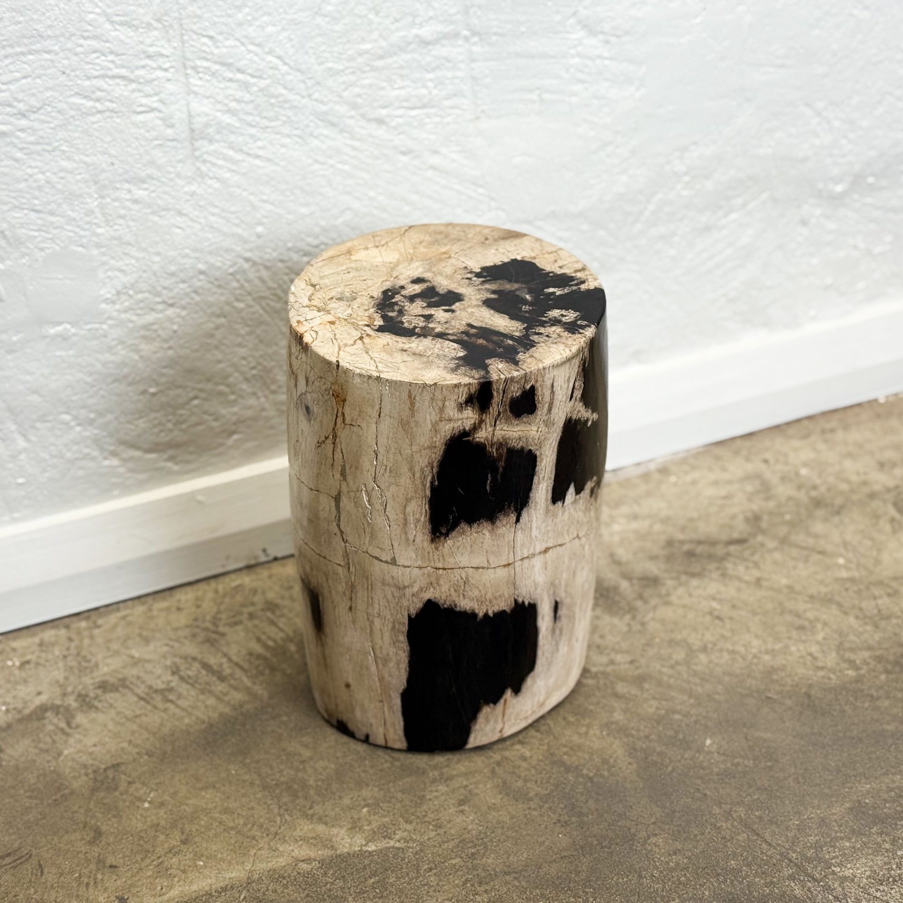 Petrified Wood Stool XI