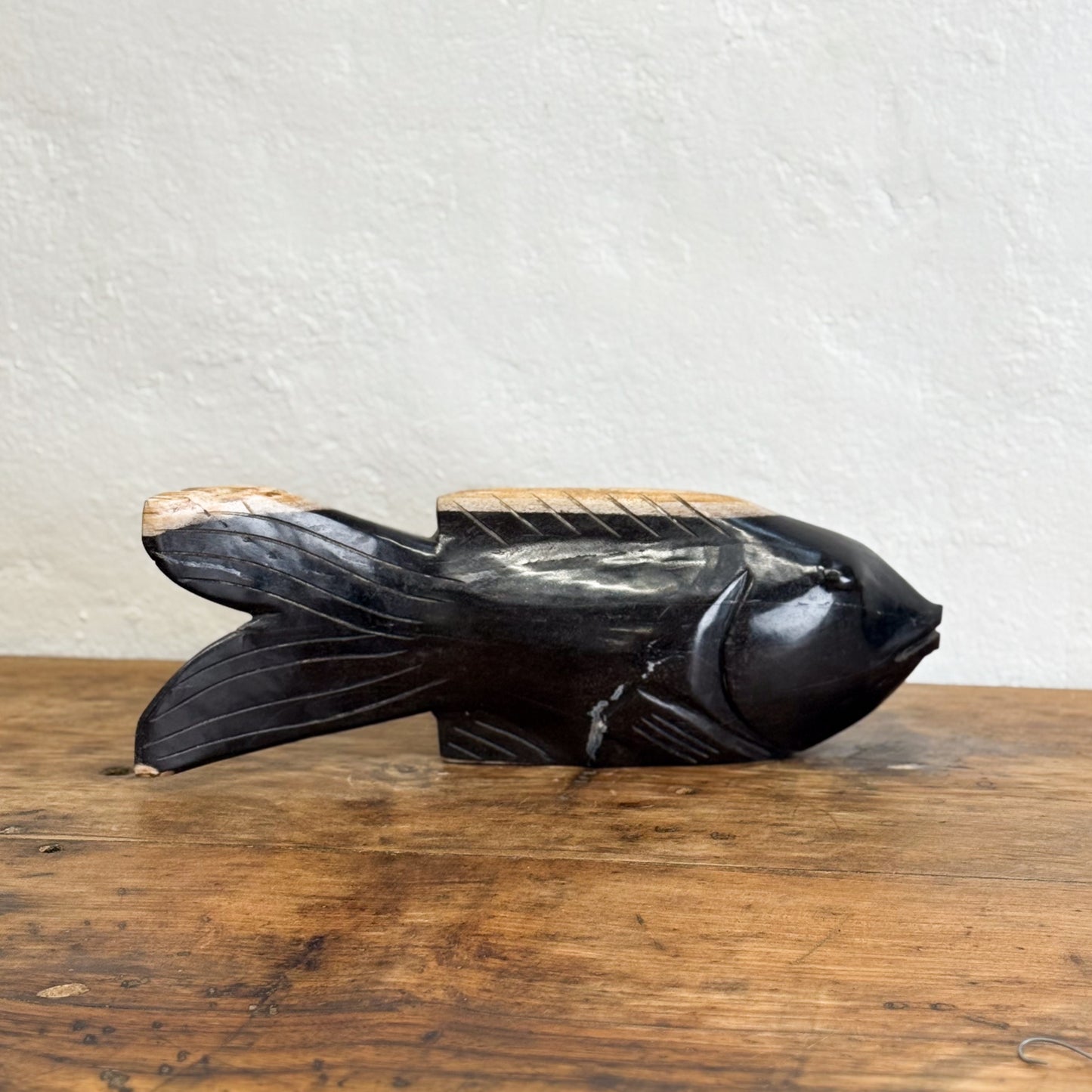 Petrified Wood Fish VII