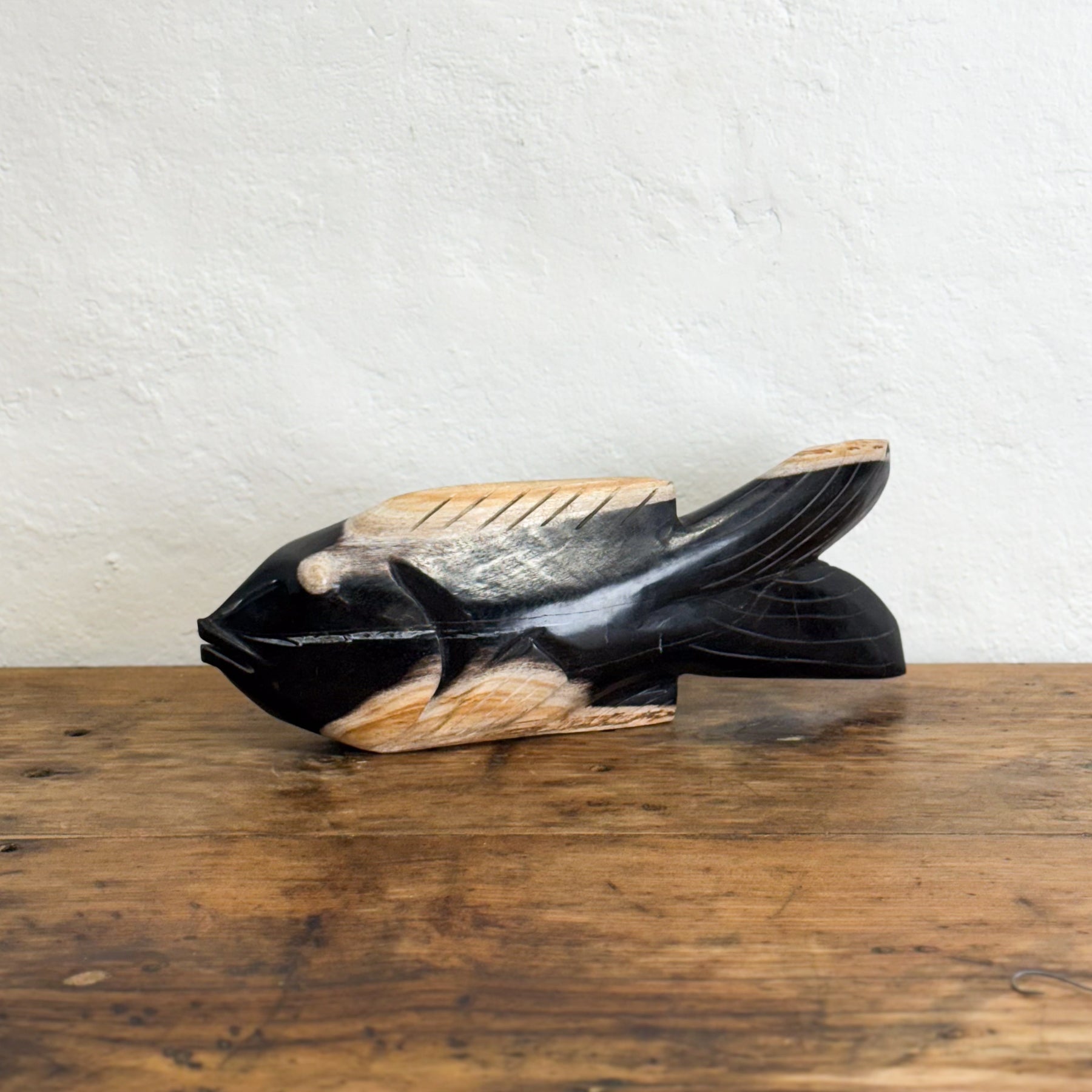 Petrified Wood Fish VII