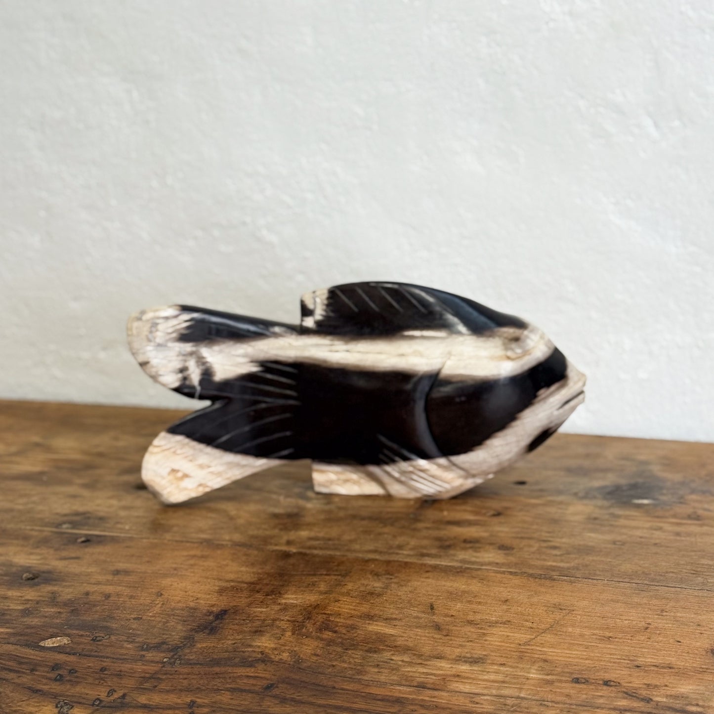 Petrified Wood Fish VIII