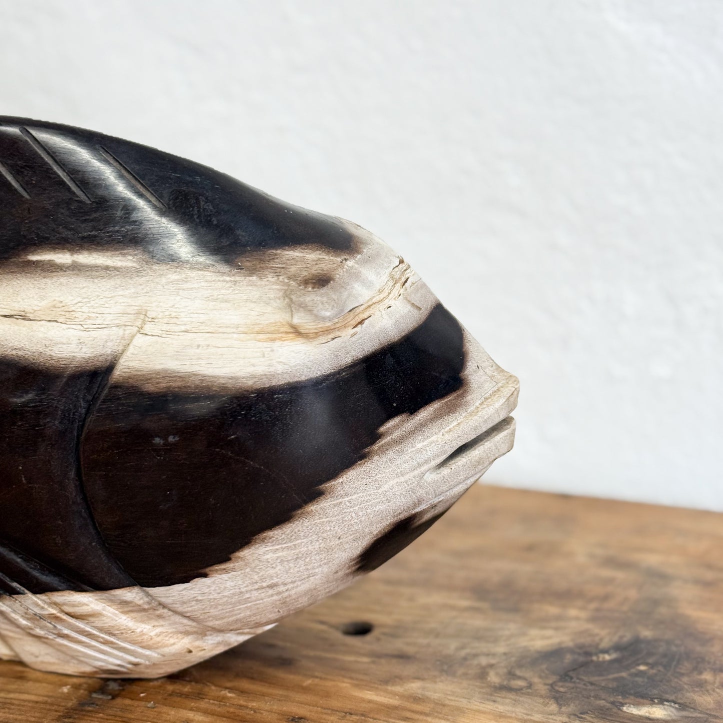 Petrified Wood Fish VIII