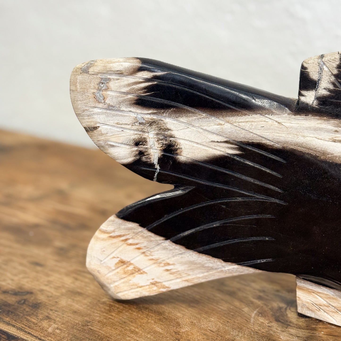 Petrified Wood Fish VIII