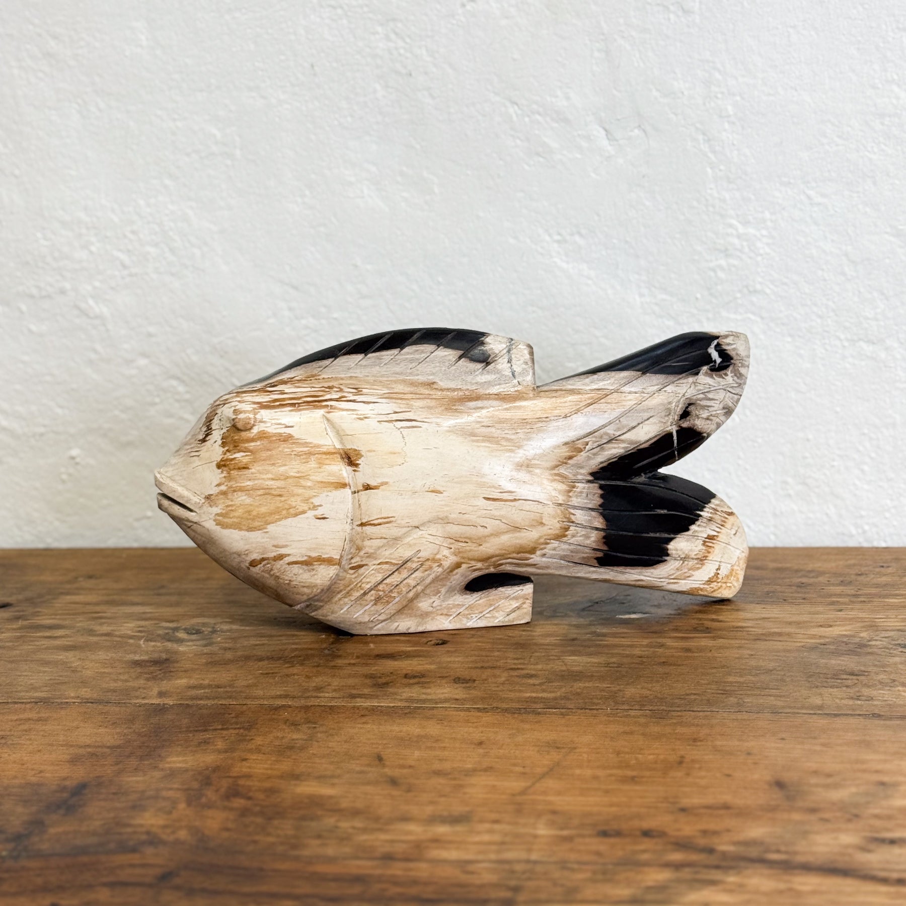 Petrified Wood Fish VIII