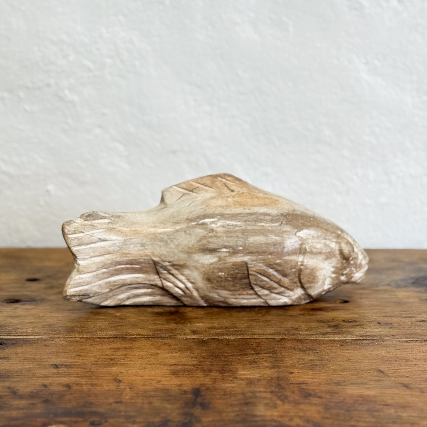 Petrified Wood Fish IX