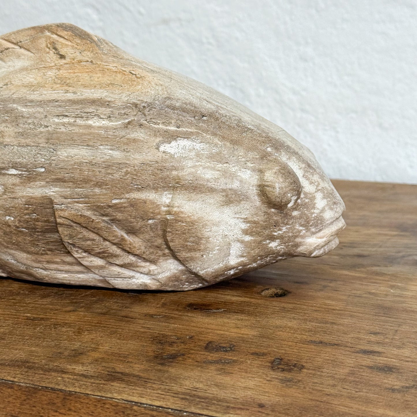 Petrified Wood Fish IX