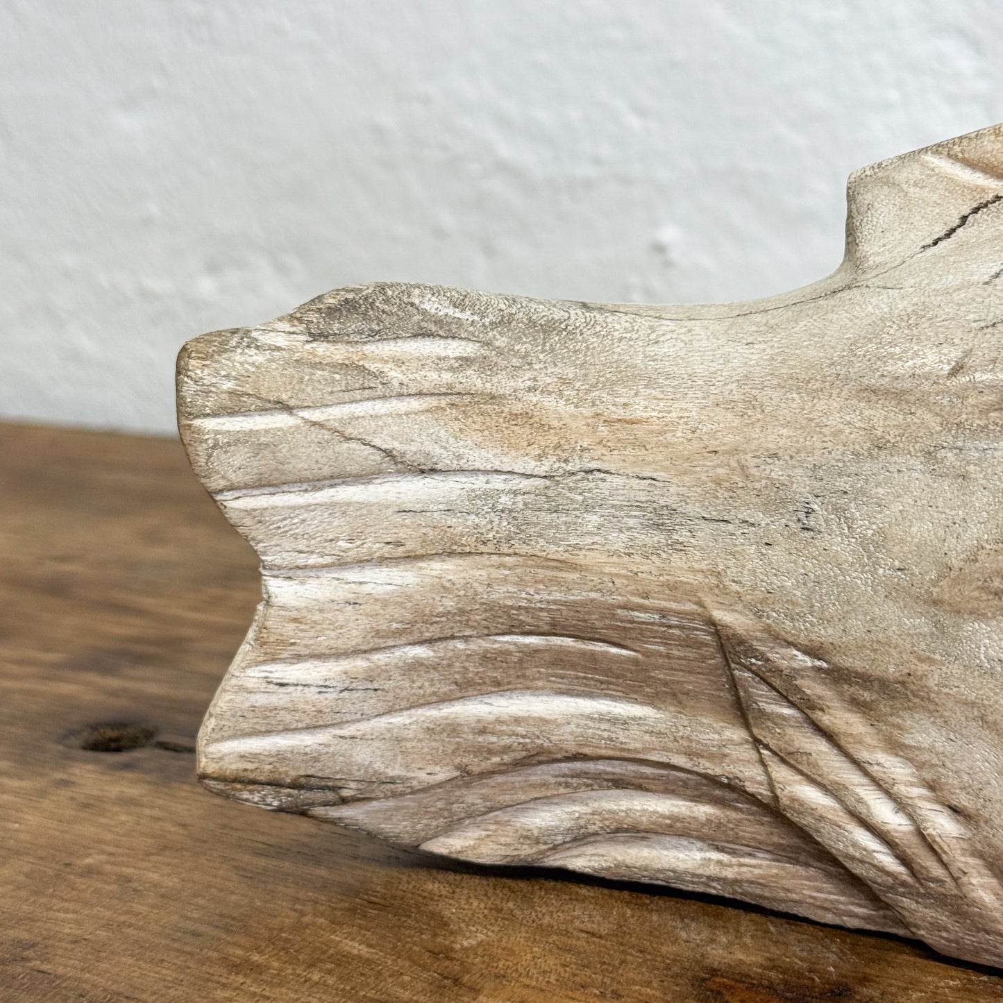 Petrified Wood Fish IX