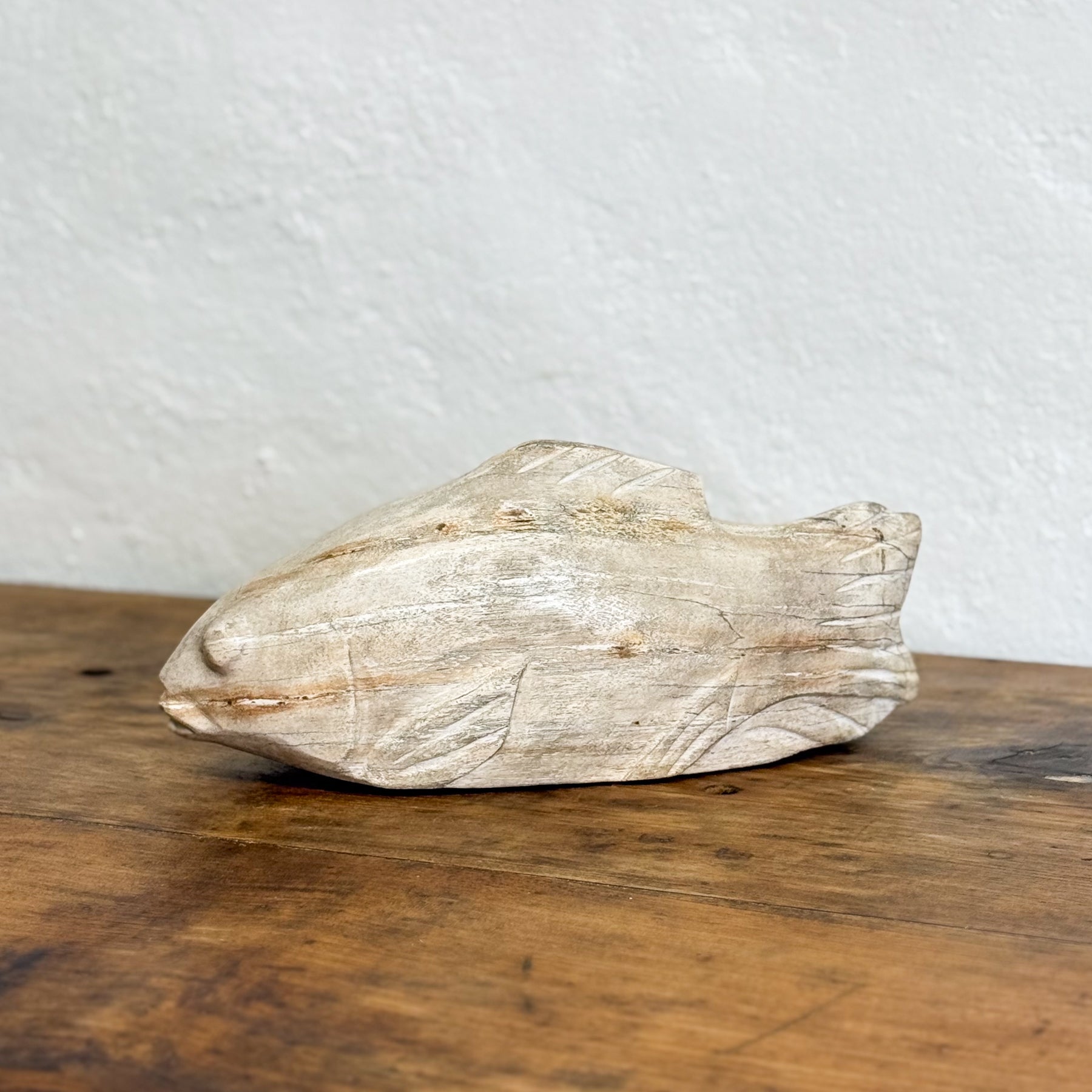 Petrified Wood Fish IX
