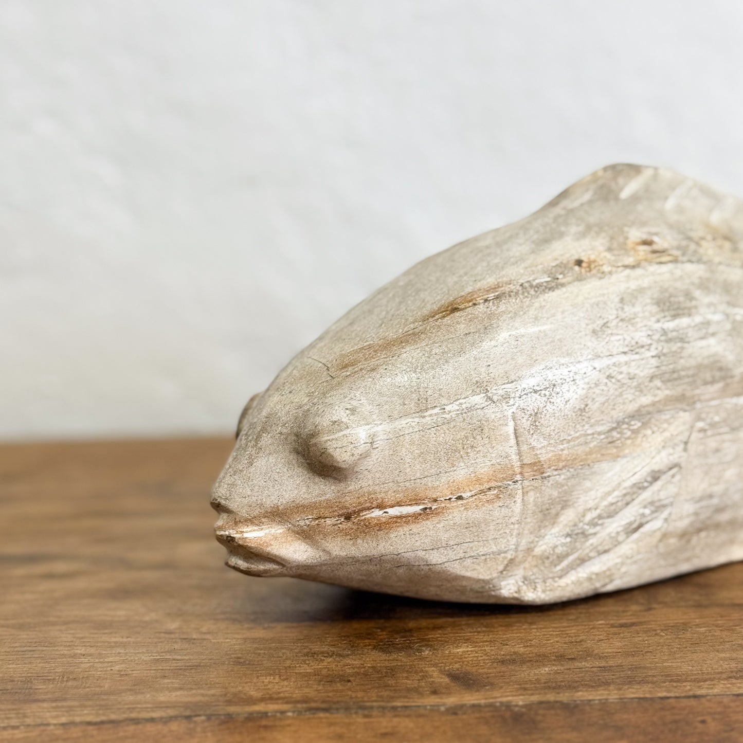 Petrified Wood Fish IX