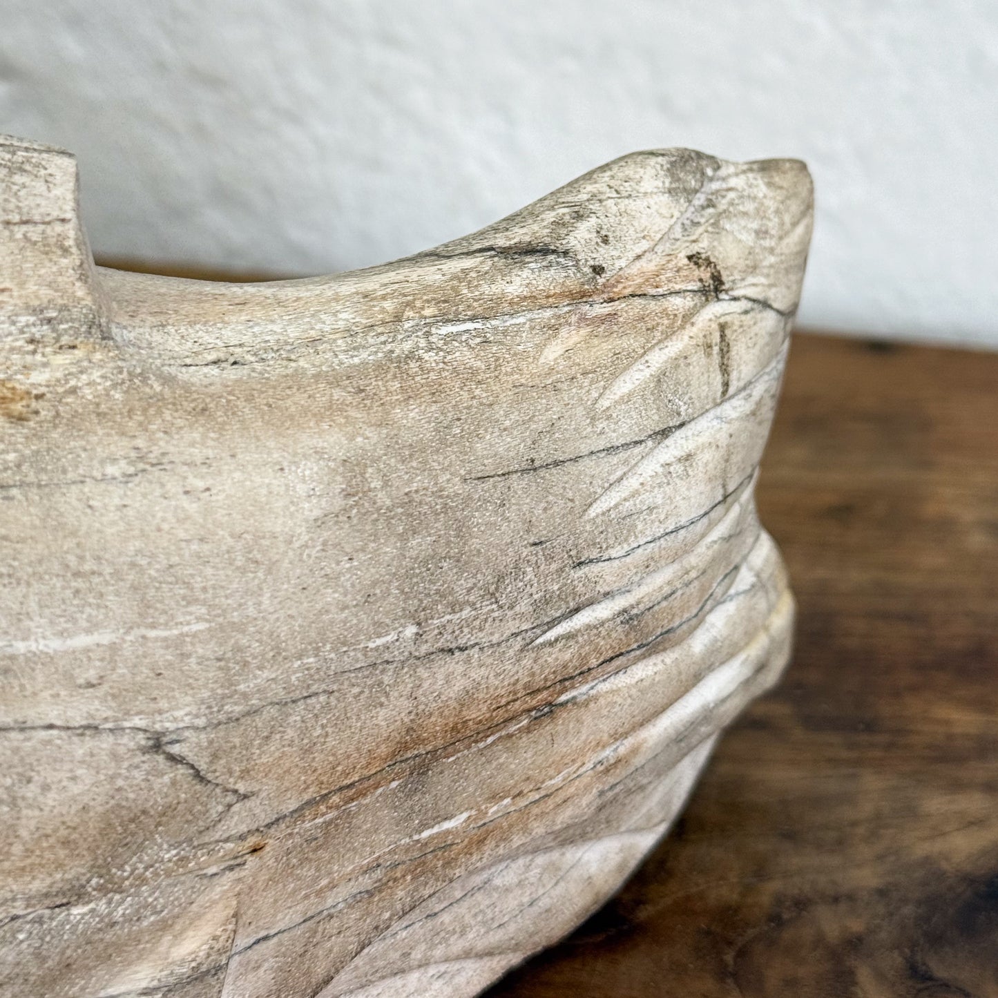 Petrified Wood Fish IX