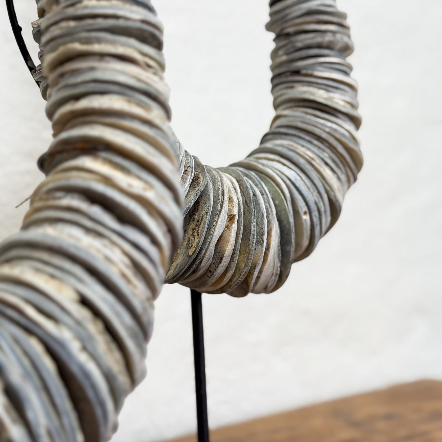 Blue Coral Disc Necklace
