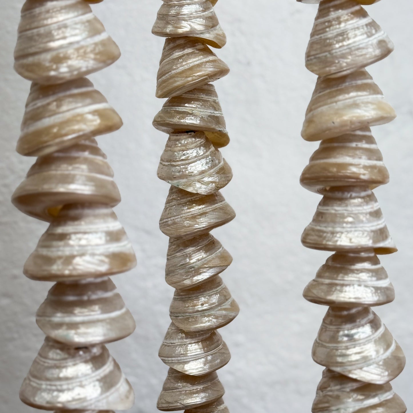 Stacked Turbo Shell Column