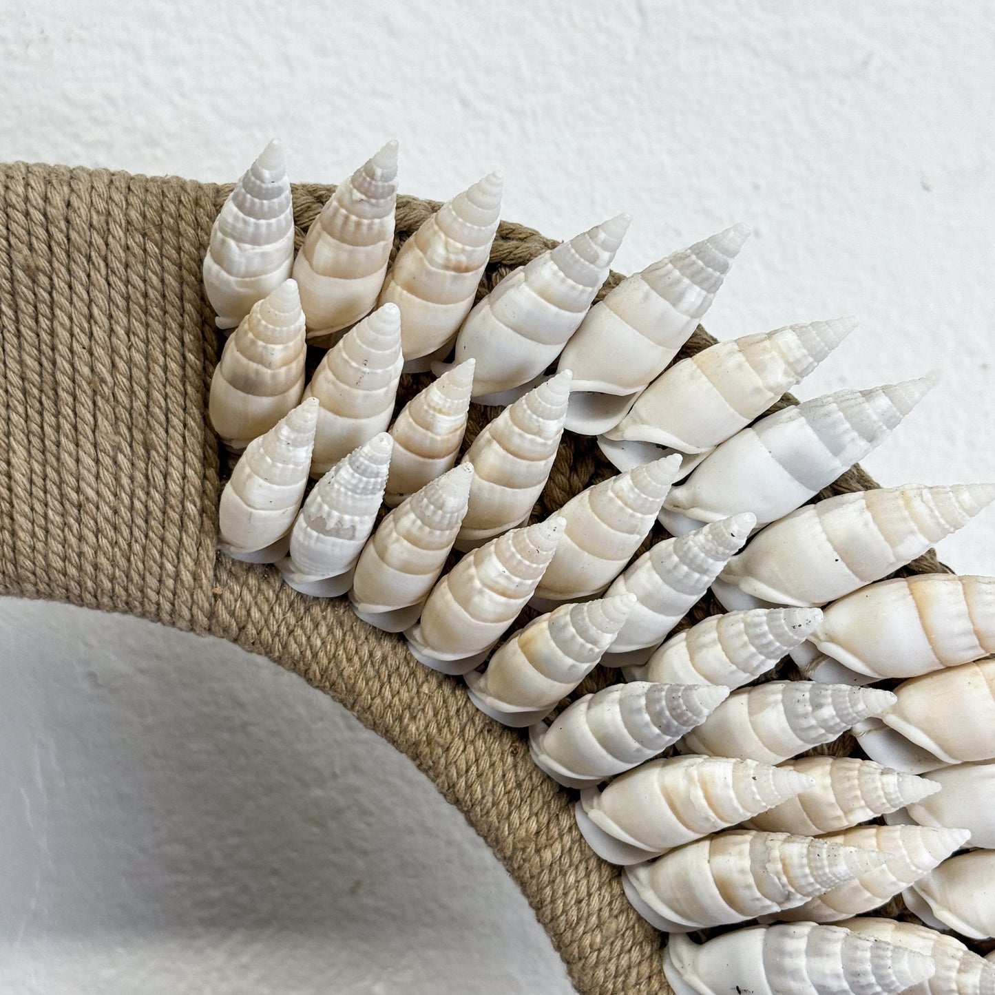 Row of white shell-like objects on a textured beige surface with a white background