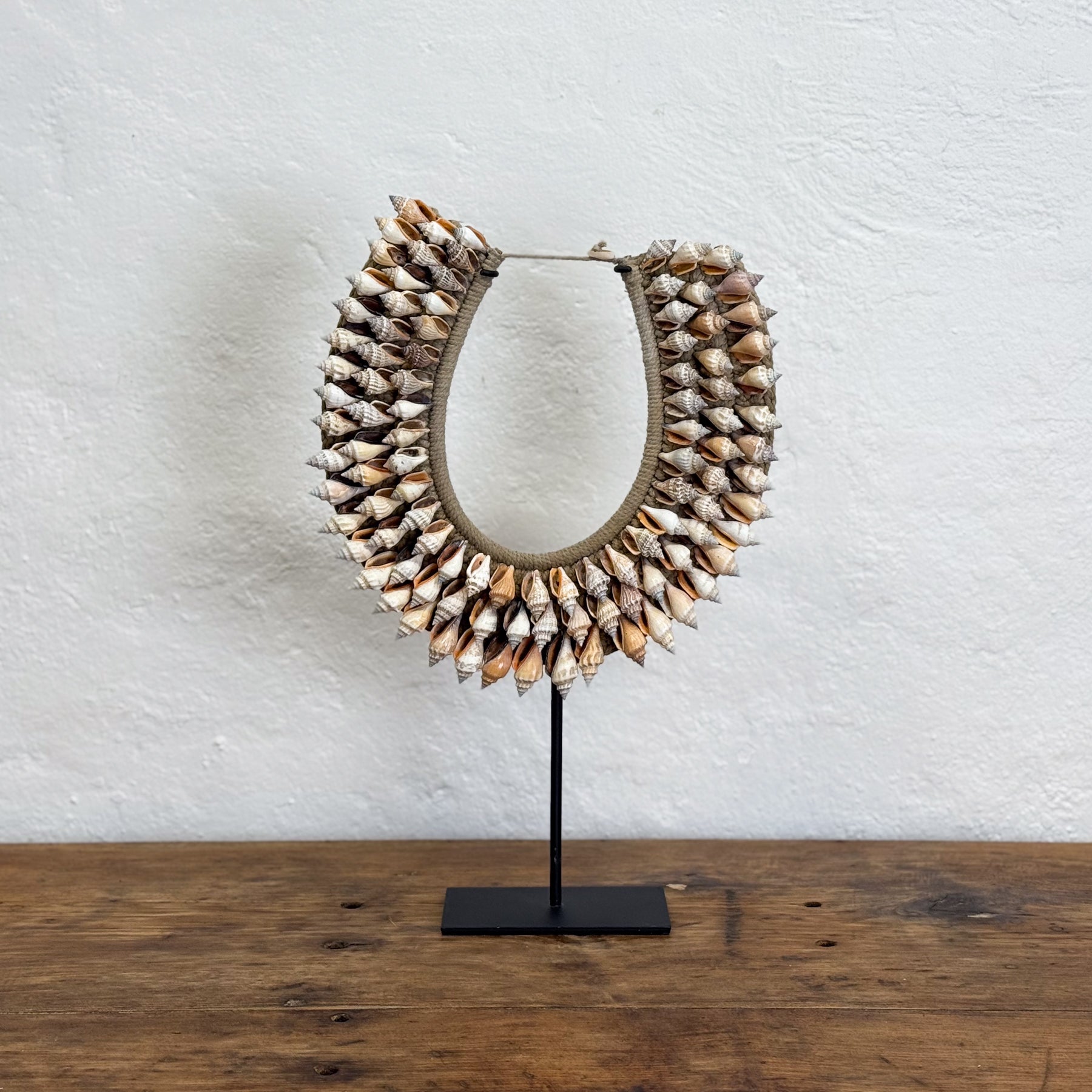 Snail Shell Papua Necklace on Stand